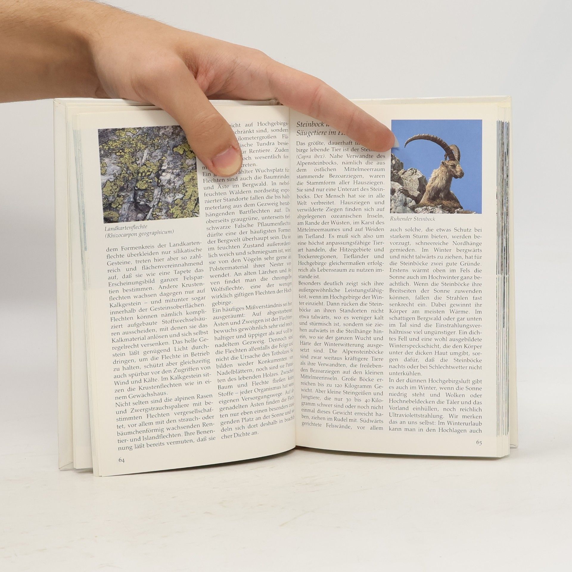 Autorenkollektiv Gebirge und Tundra