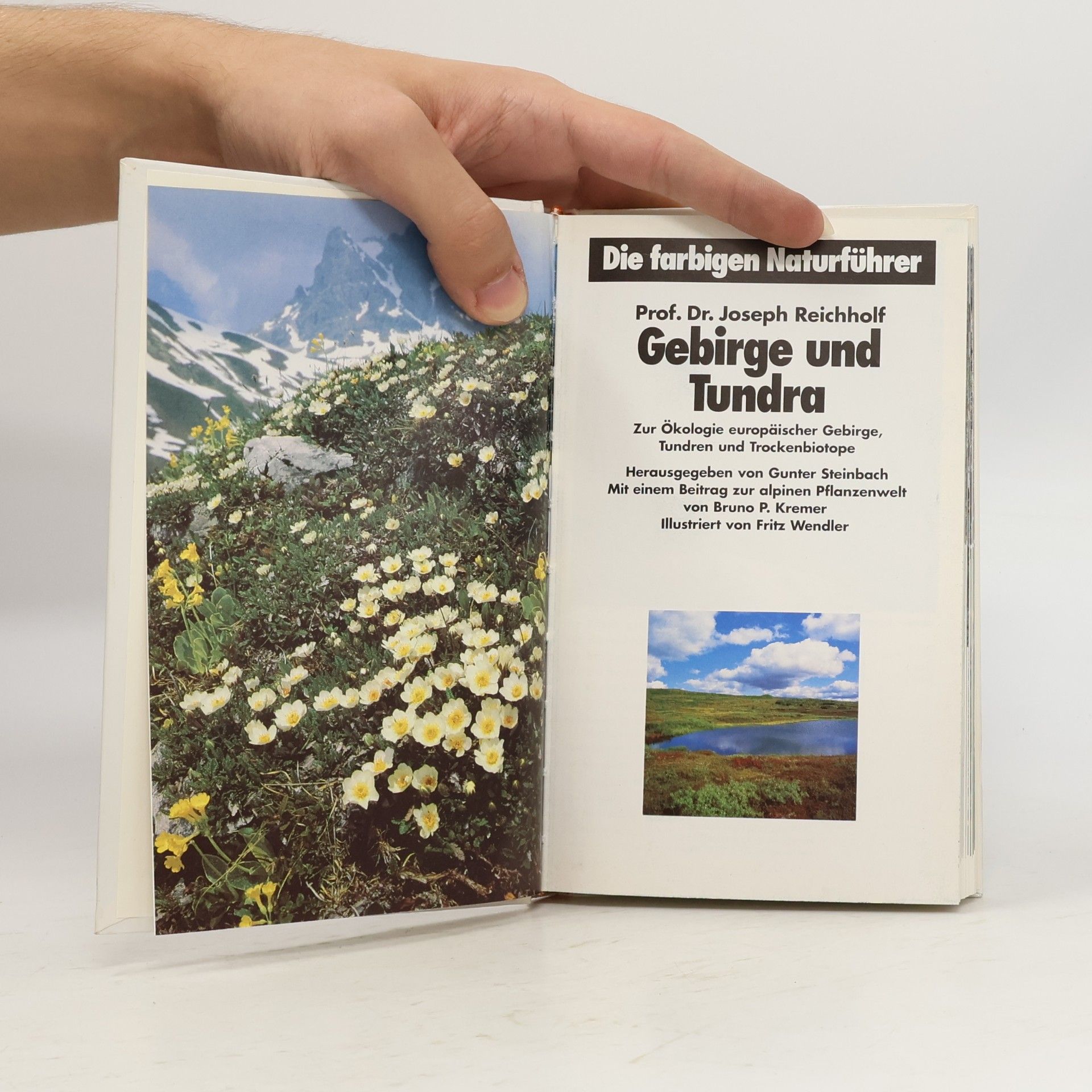 Autorenkollektiv Gebirge und Tundra