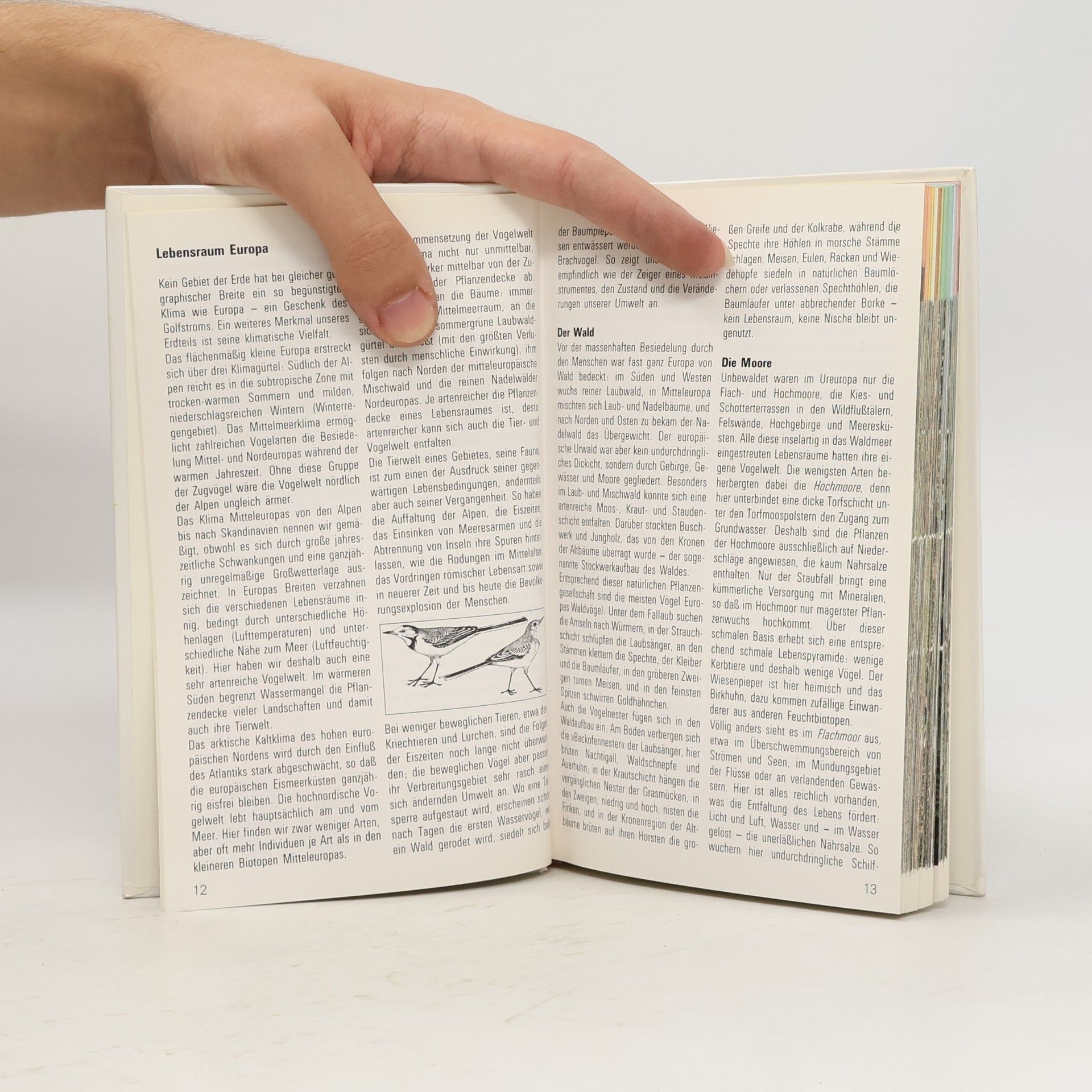 Kolektiv autorů Landvögel