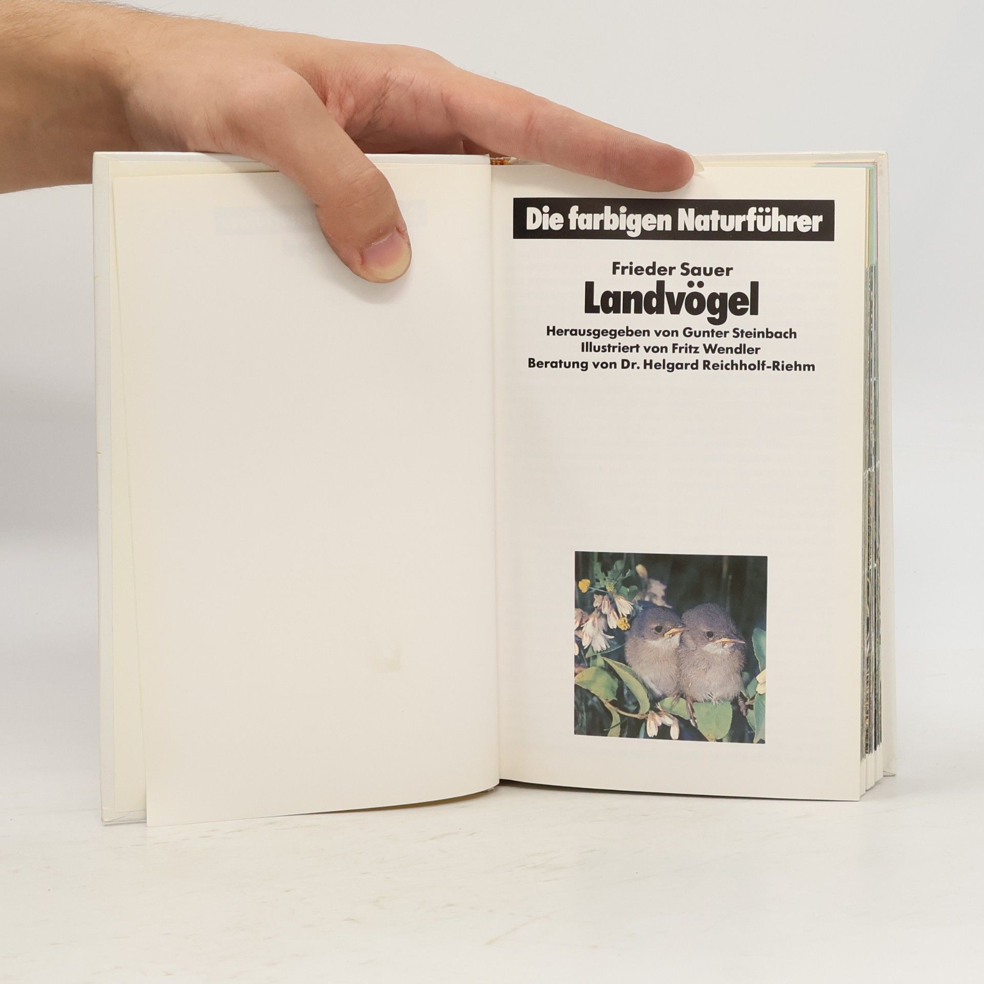 Kolektiv autorů Landvögel