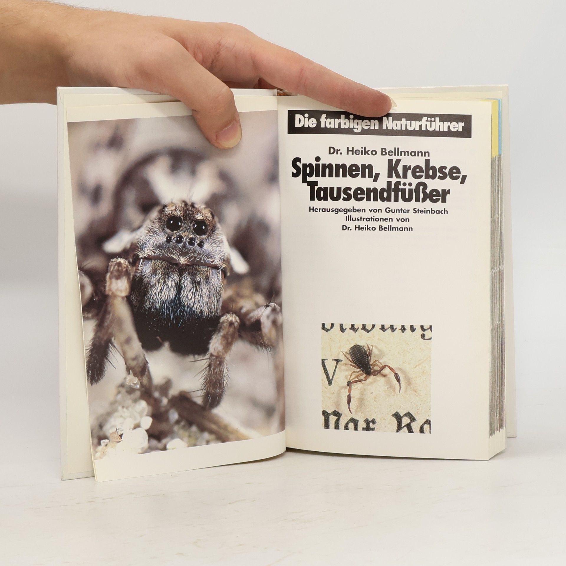 Autorenkollektiv Spinnen, Krebse, Tausendfüsser