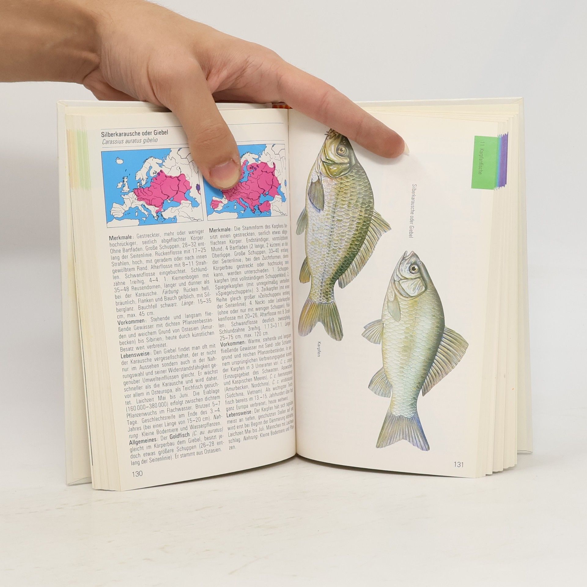 Various authors Süsswasser Fische