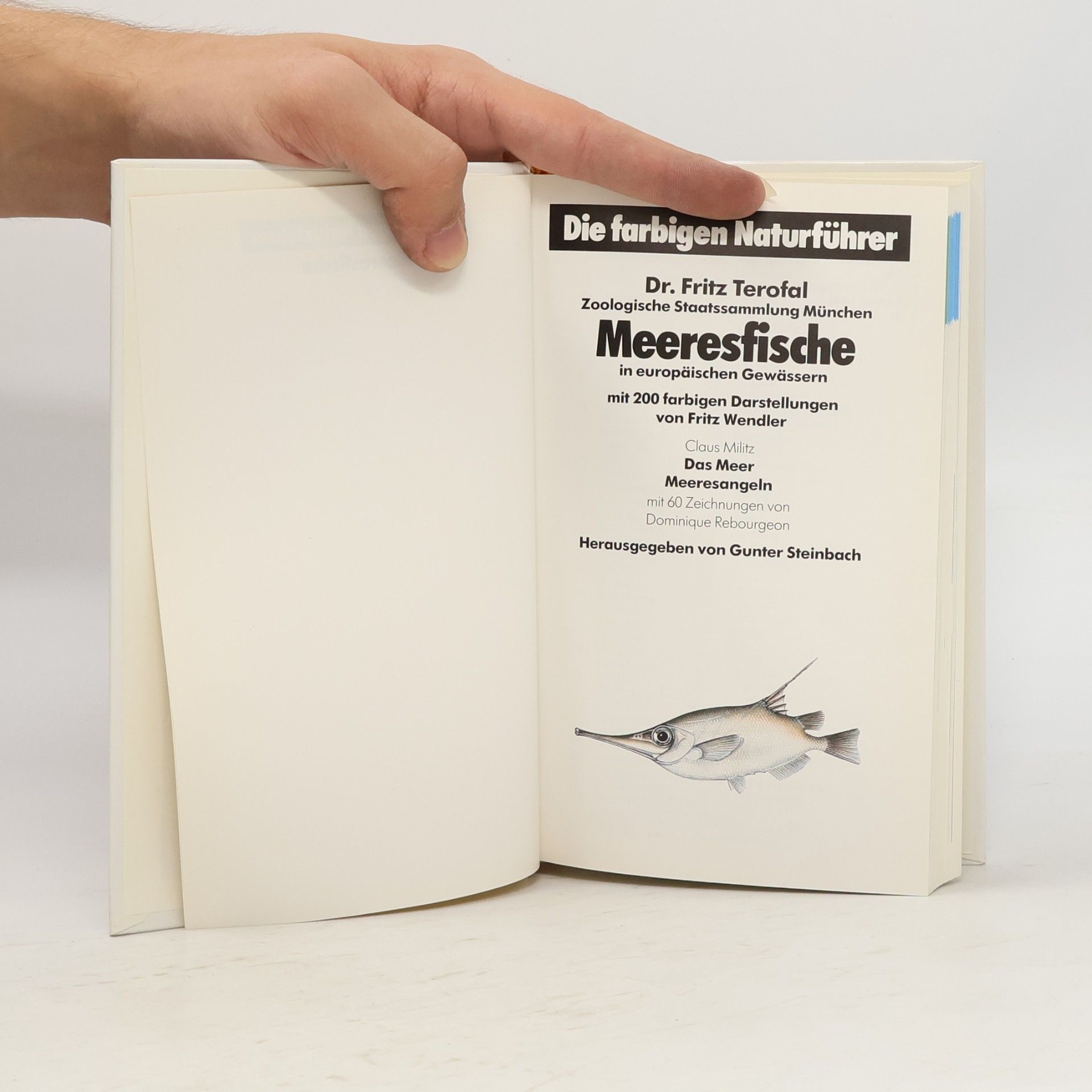 Autorenkollektiv Meeresfische
