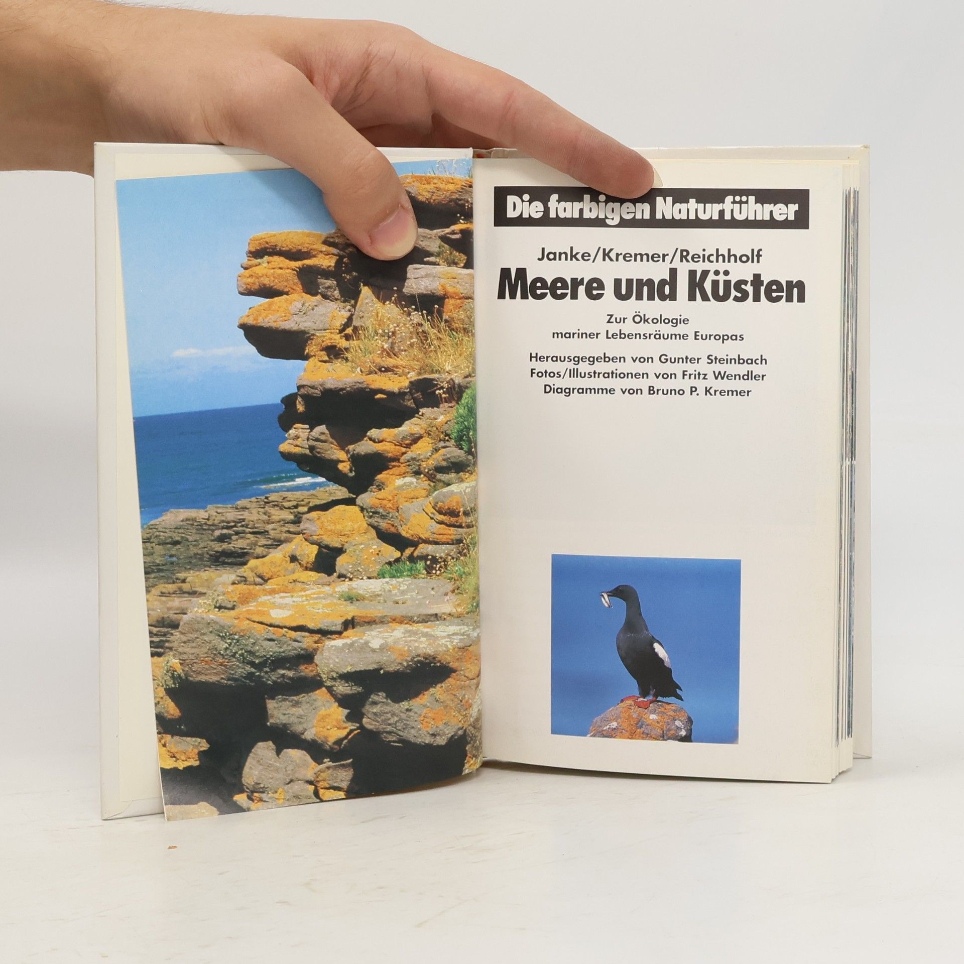 Various authors Meere und Küsten