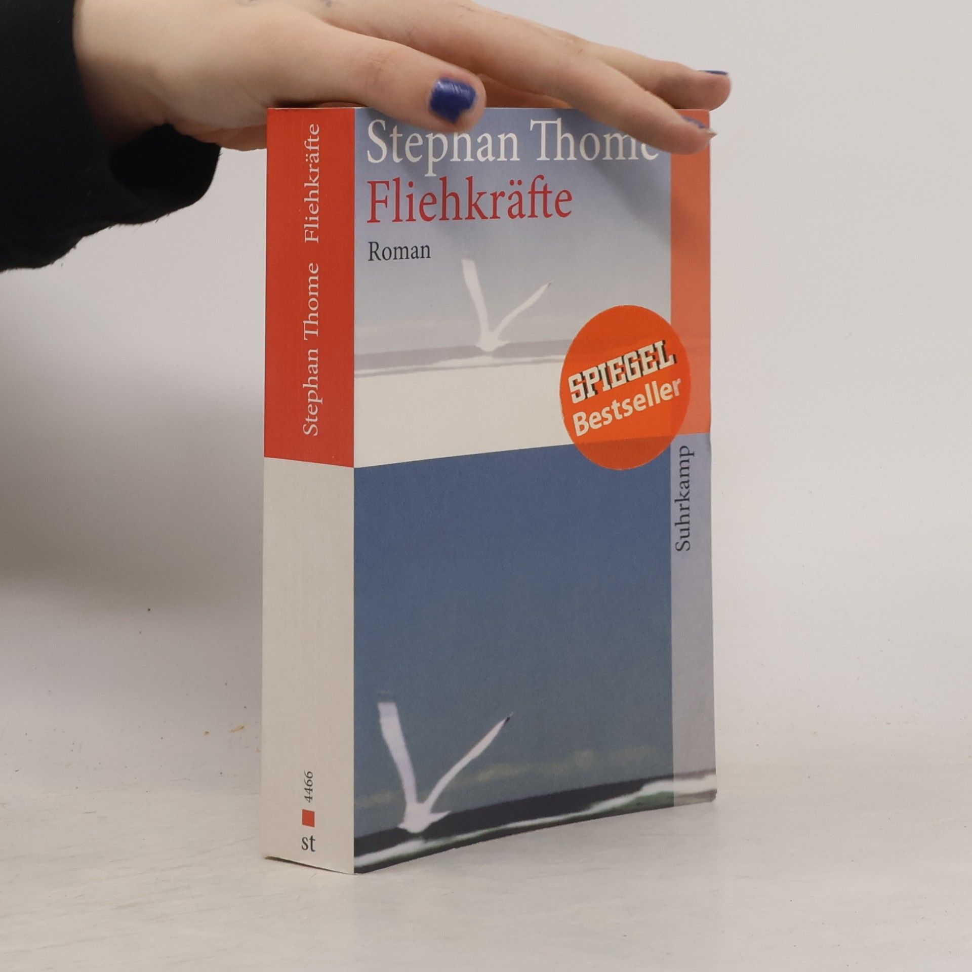 Stephan Thome Fliehkräfte