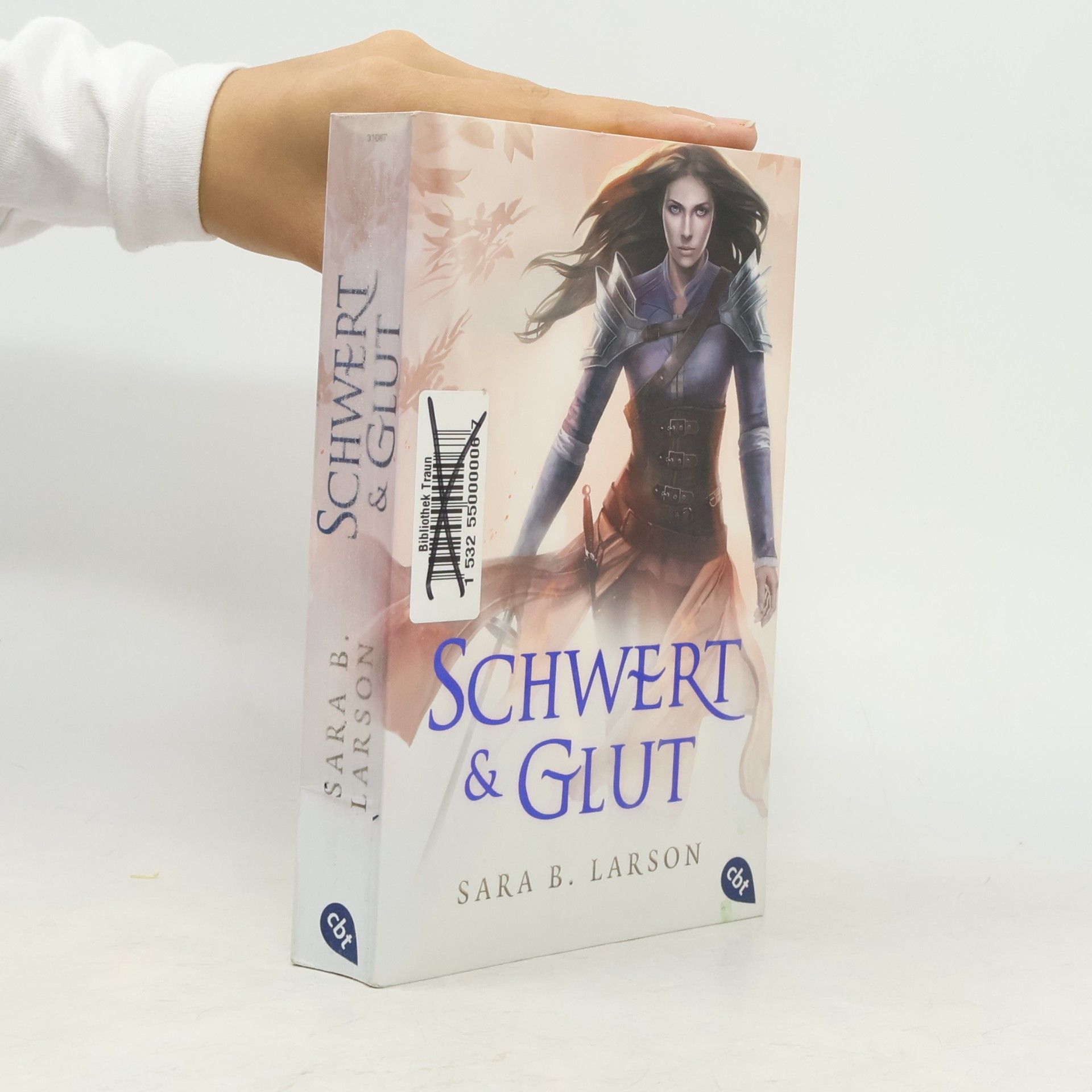 Sara B. Larson Schwert und Glut