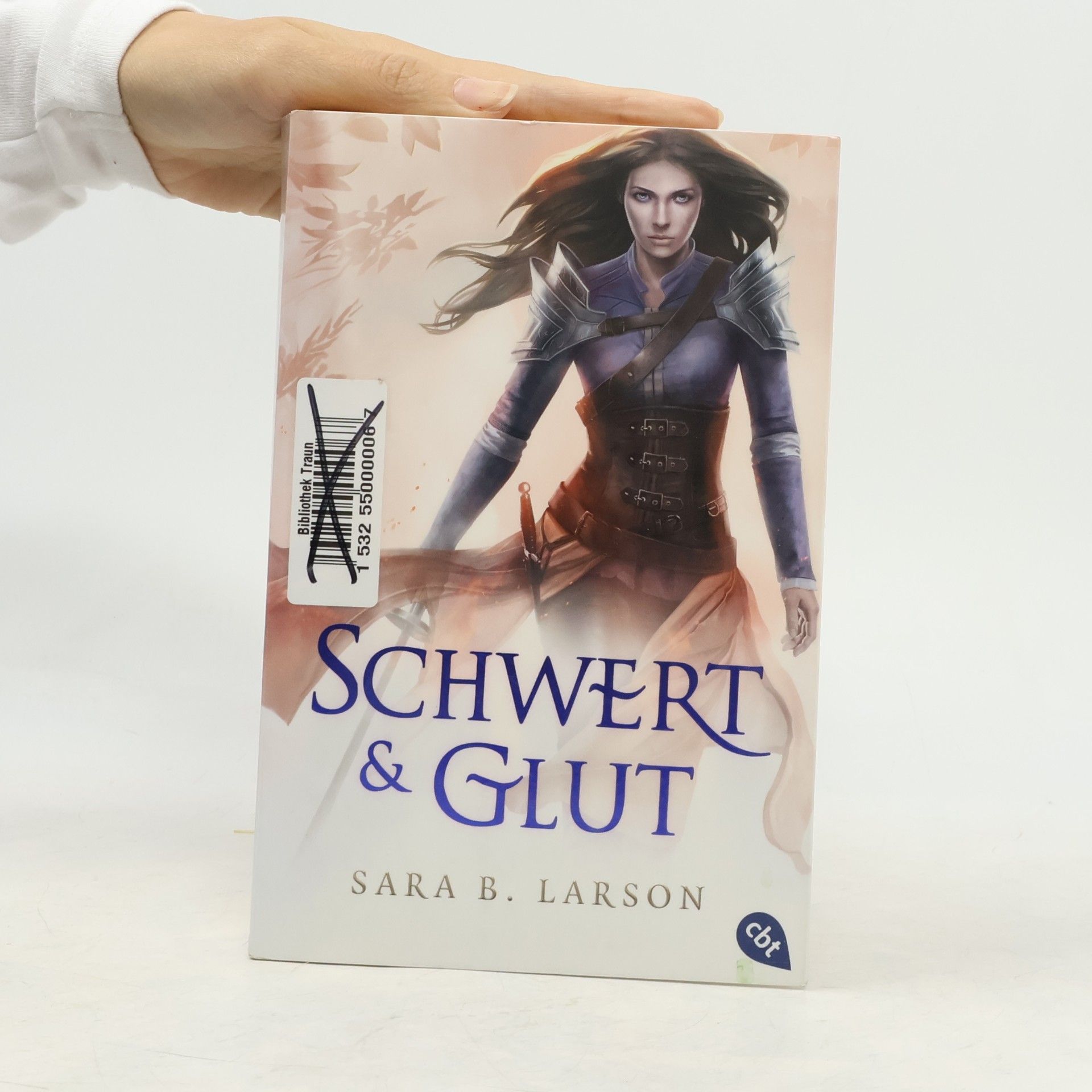 Sara B. Larson Schwert und Glut