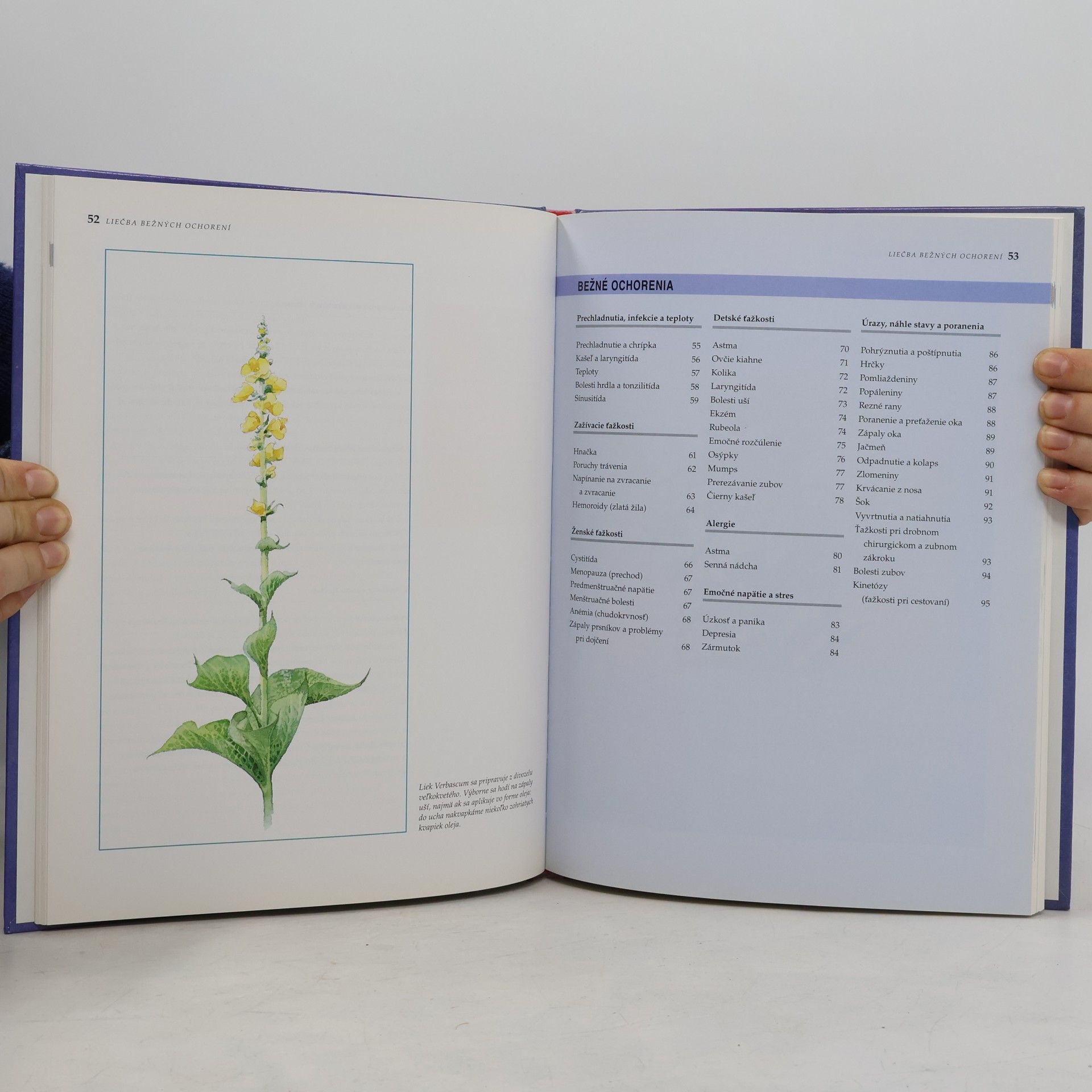 Robin Hayfield Homeopatia, Praktické použitie v rodine