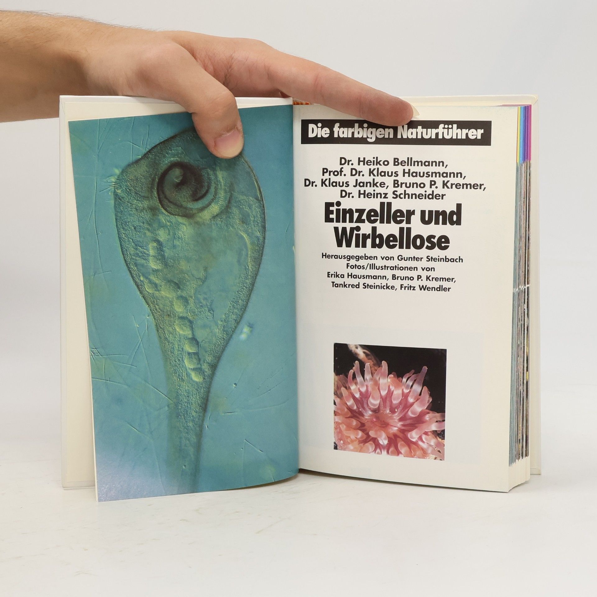 Autorenkollektiv Einzeller und Wirbellose