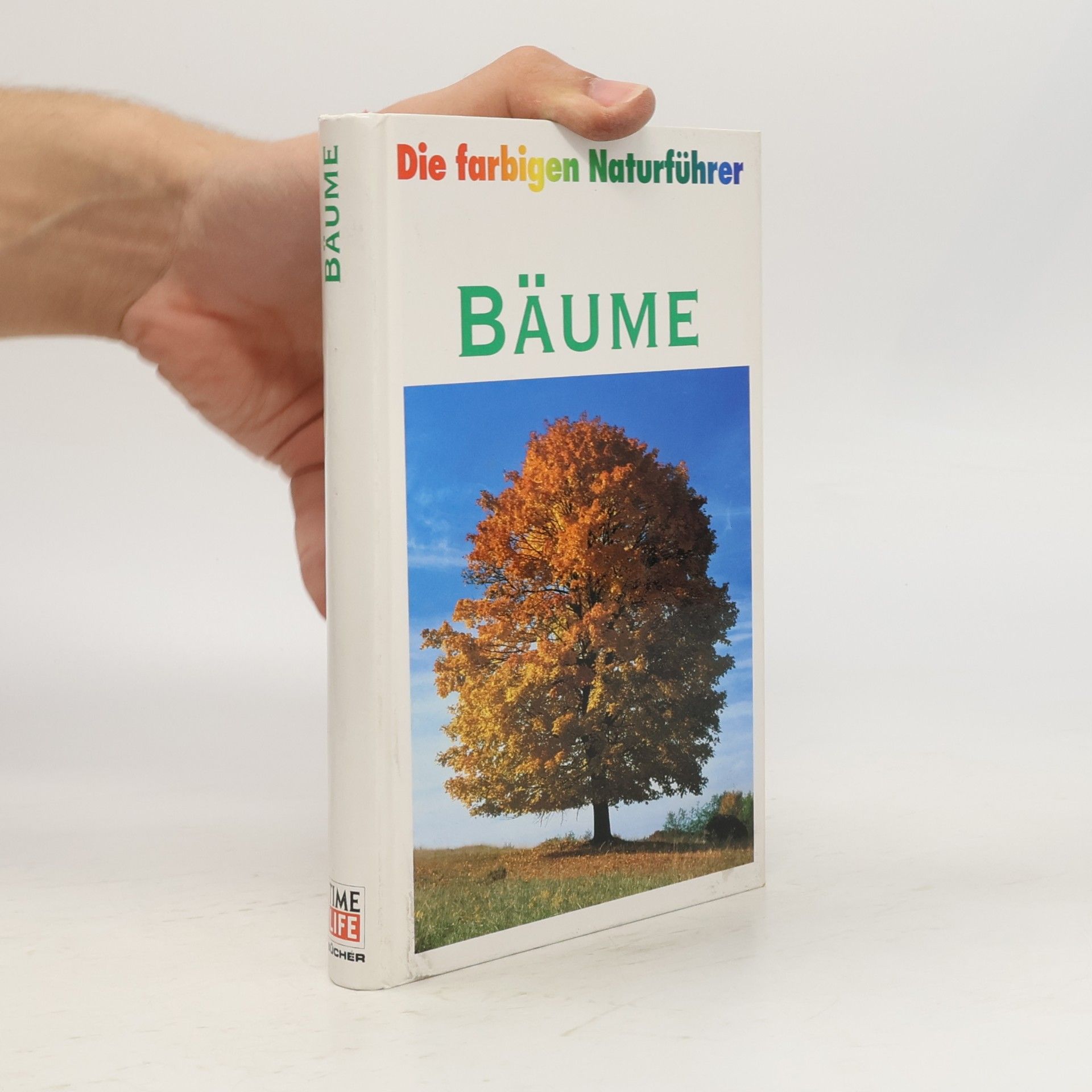 Bruno Kremer Bäume