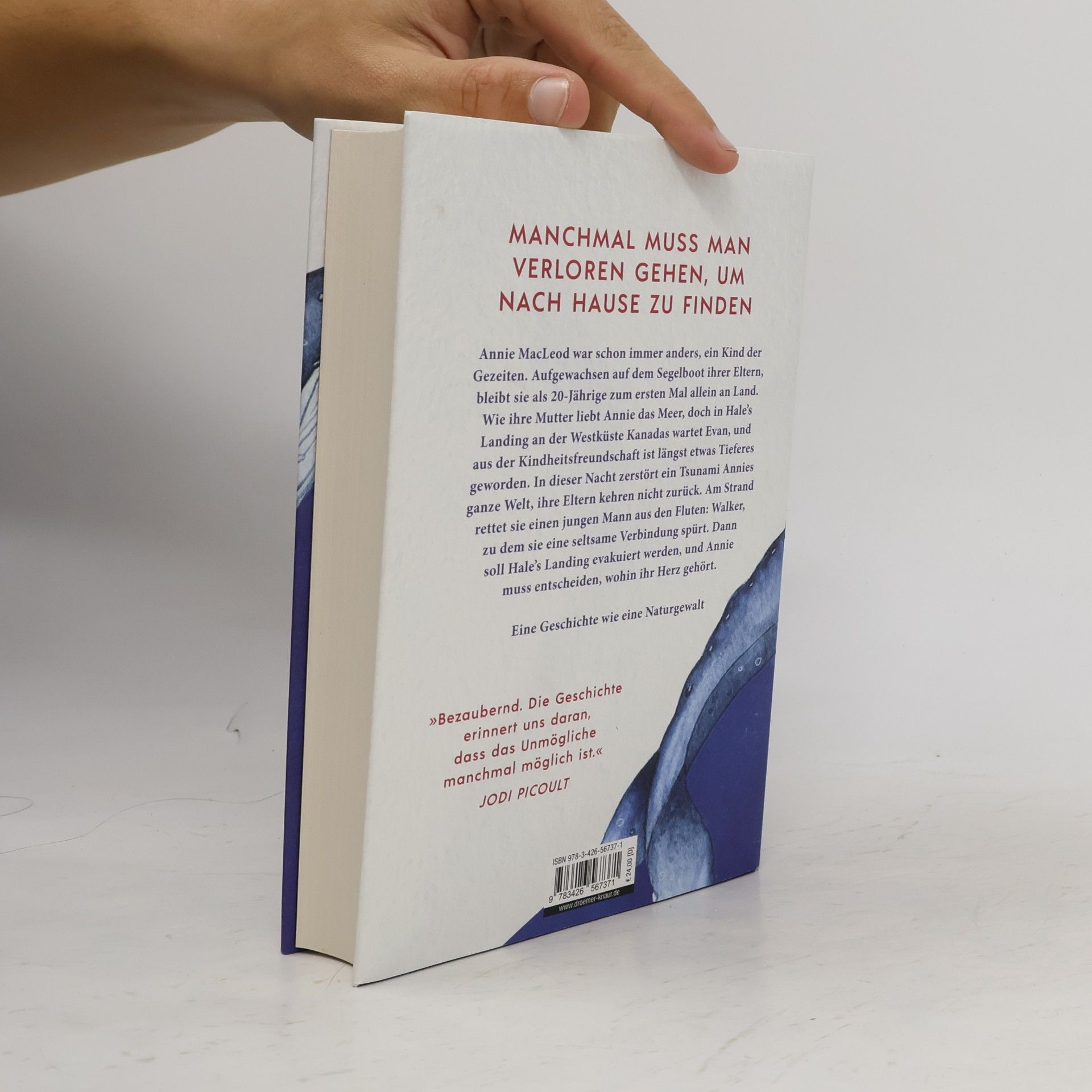 Kelly Anderson Das Jahr der Wale: Roman | Reese's Book Club Pick August 2026. »Bezaubernd. Die Geschichte erinnert uns daran, dass das Unmögliche manchmal möglich ist.« Jodi Picoult