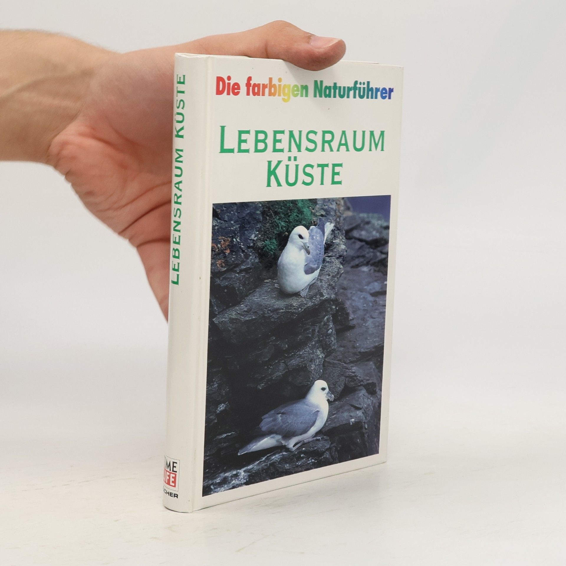 Collectif d'auteurs Die farbigen Naturführer: Lebensraum Küste