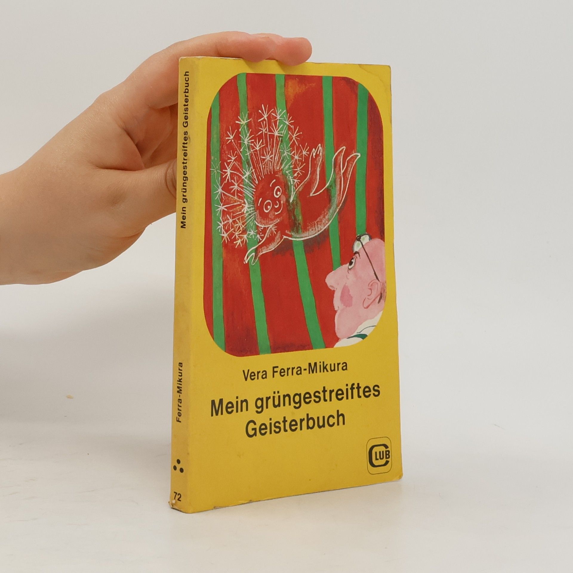 Vera Ferra-Mikura Mein grüngestreiftes Geisterbuch