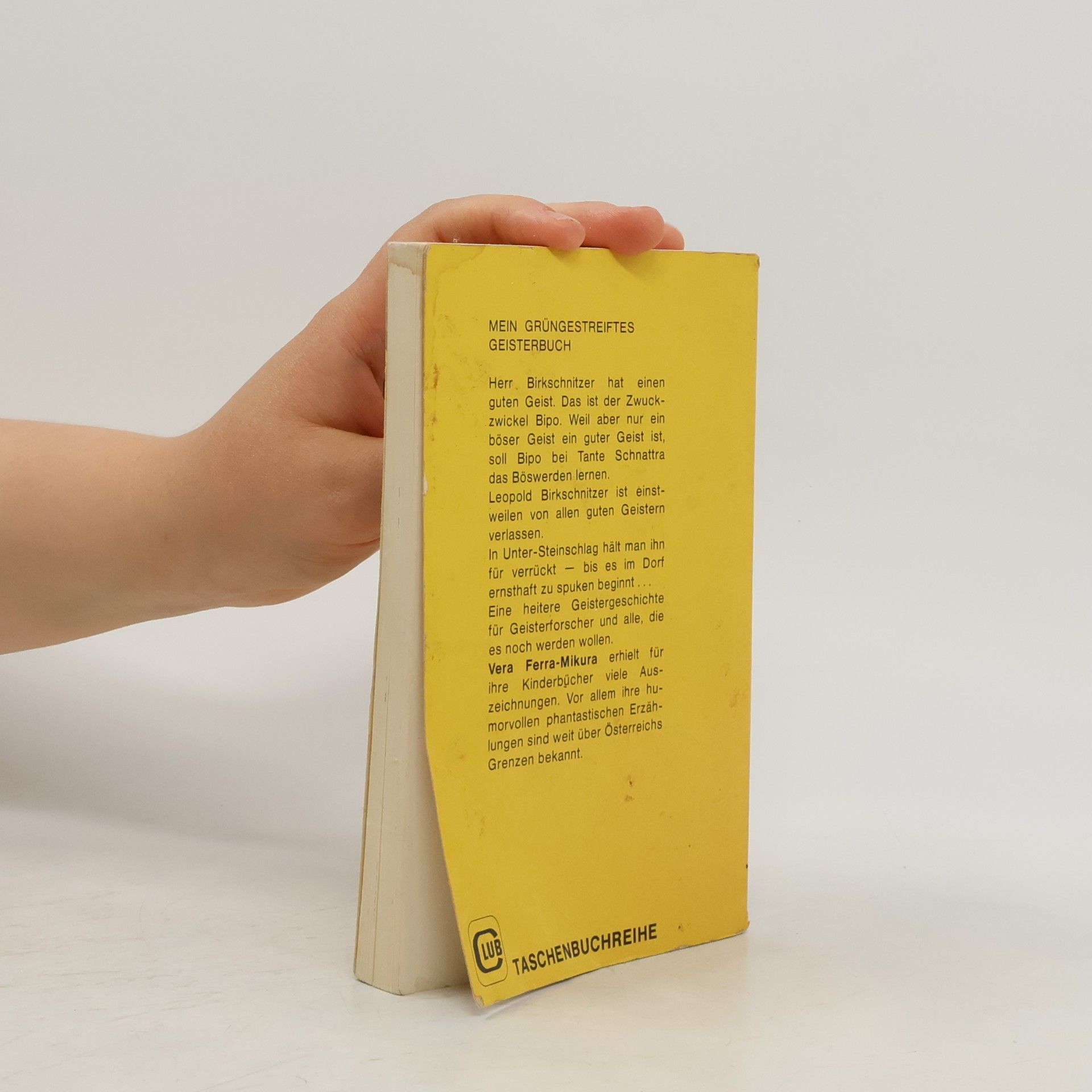 Vera Ferra-Mikura Mein grüngestreiftes Geisterbuch