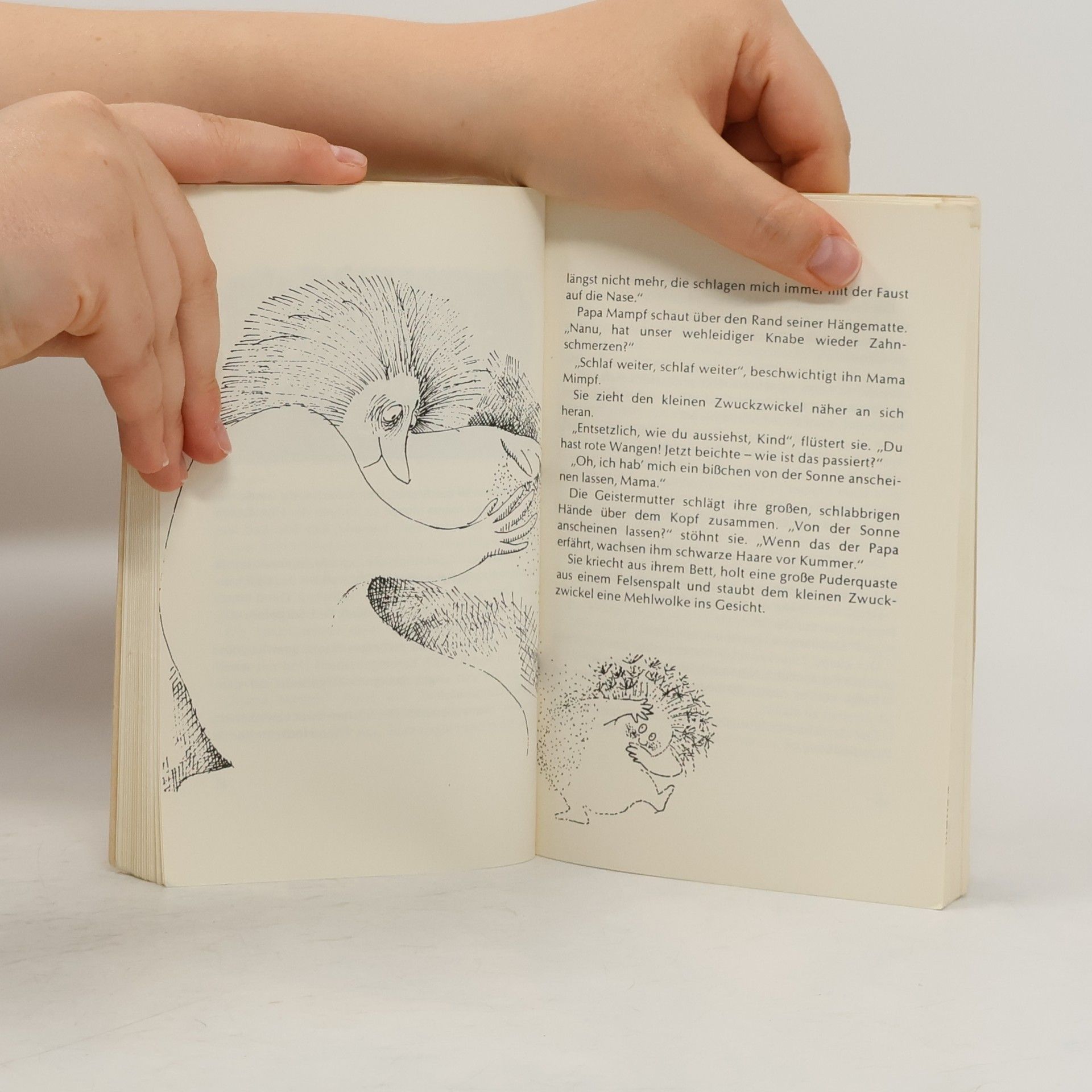 Vera Ferra-Mikura Mein grüngestreiftes Geisterbuch