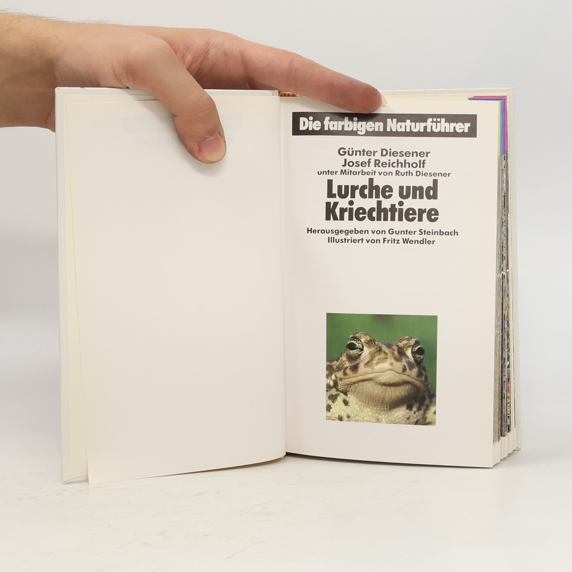 Collectif d'auteurs Die farbigen Naturführer: Lurche und Kriechtiere