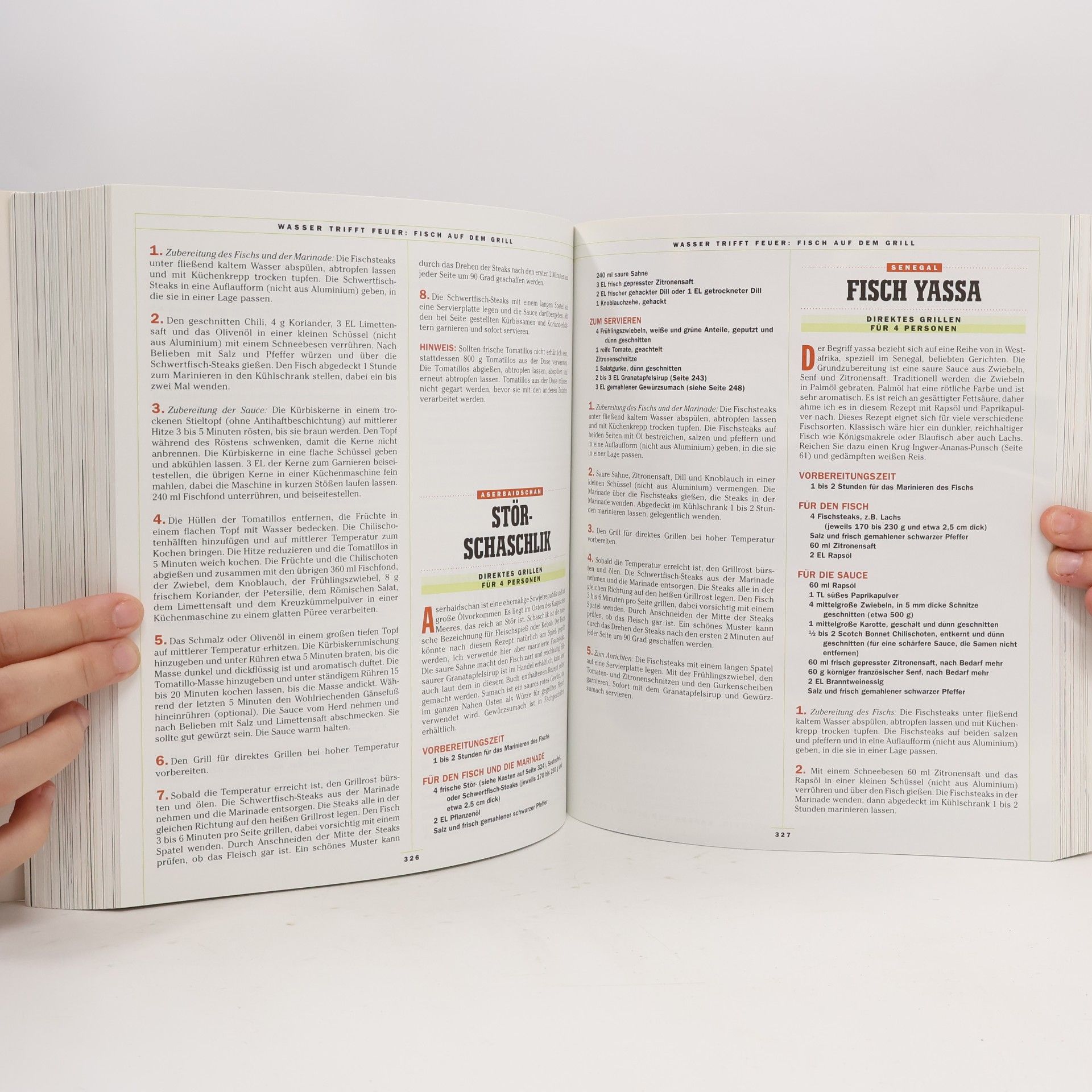 Steven Raichlens The barbecue bible