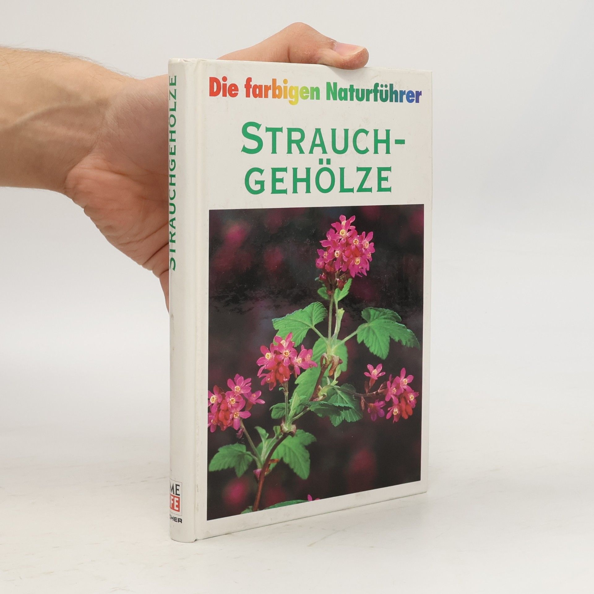 Collectif d'auteurs Die farbigen Naturführer. Strauchgehölze