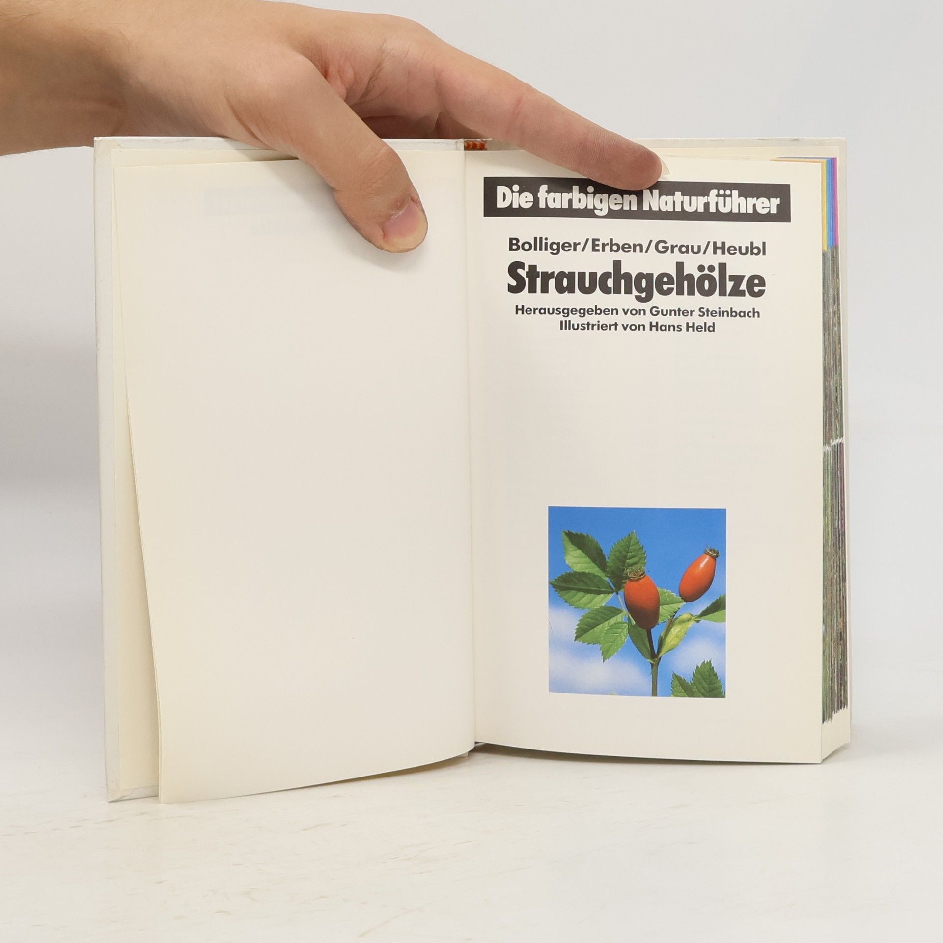 Collectif d'auteurs Die farbigen Naturführer. Strauchgehölze