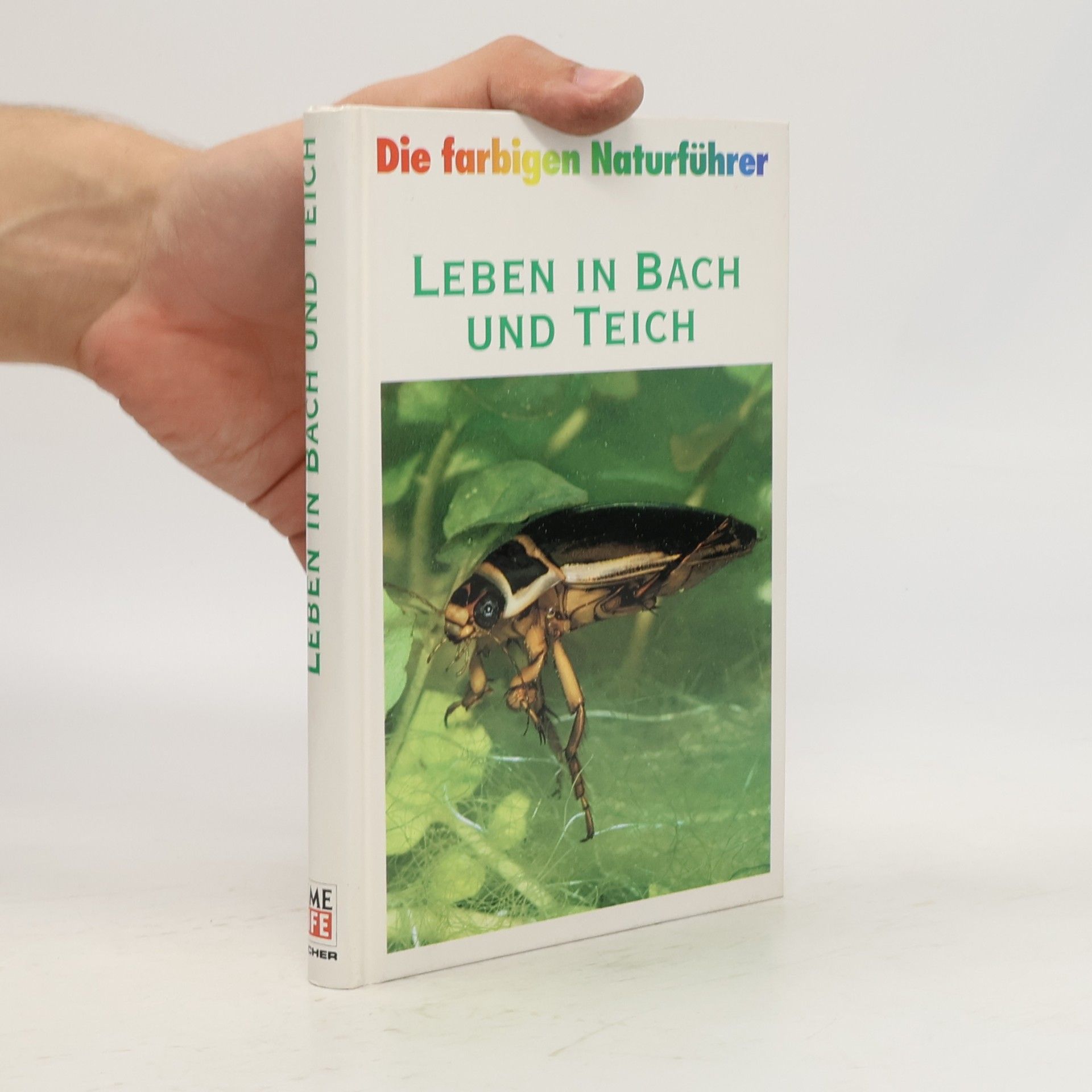 Collectif d'auteurs Leben in Bach und Teich