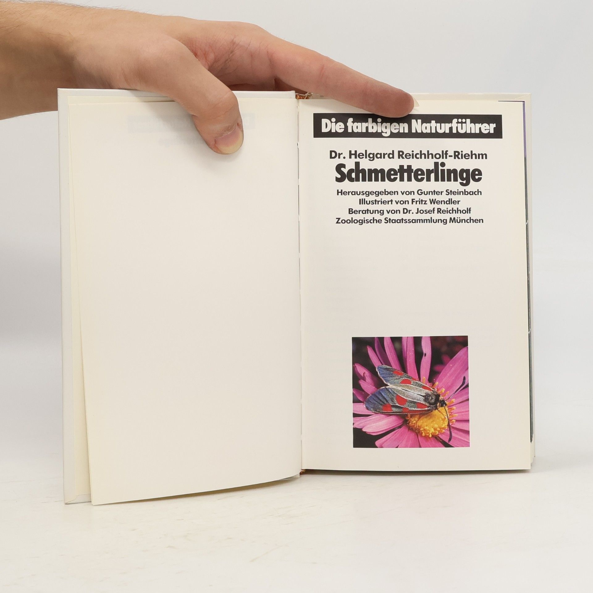 Autorenkollektiv Die farbigen Naturführer. Schmetterlinge
