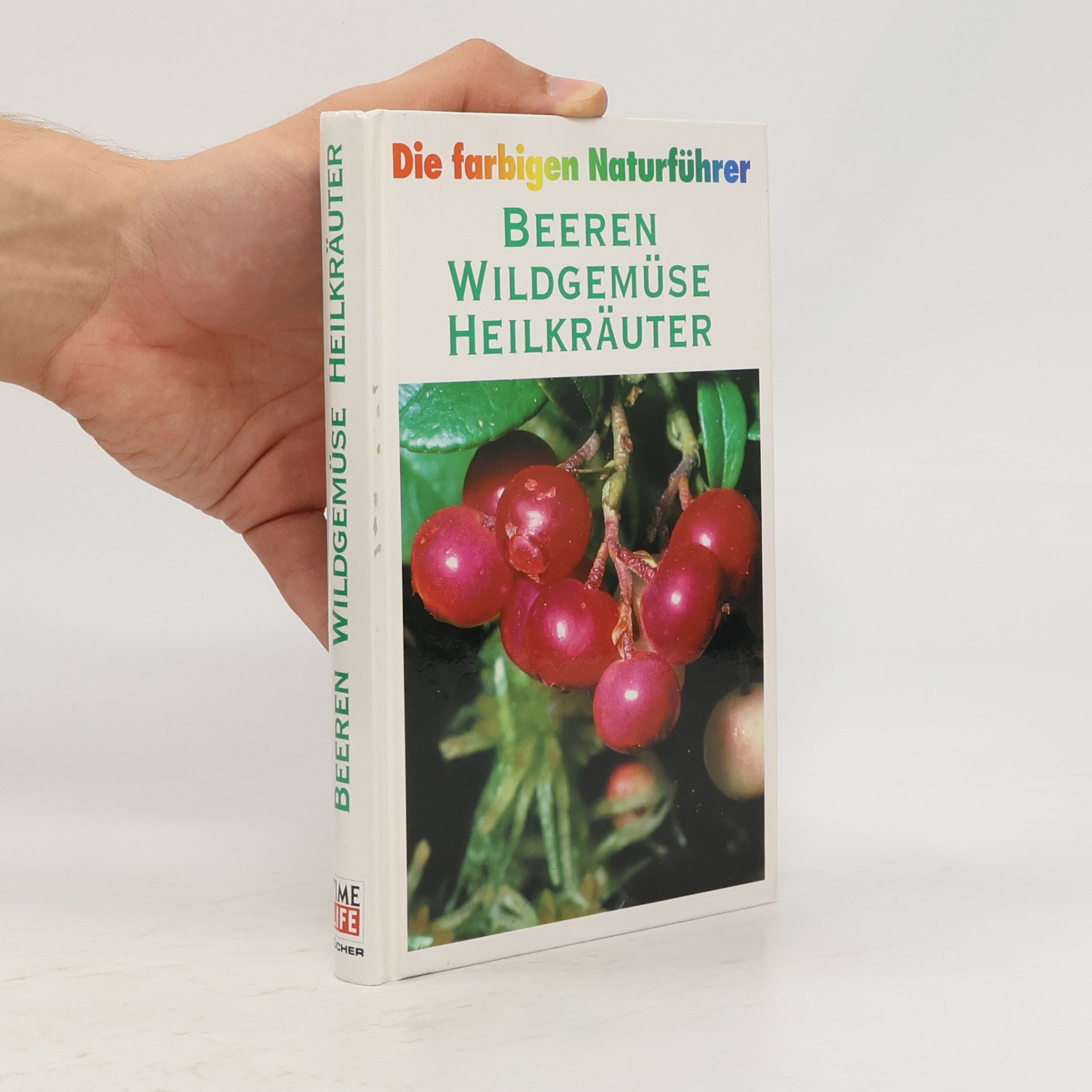 Collectif d'auteurs Beeren, Wildgemüse, Heilkräuter