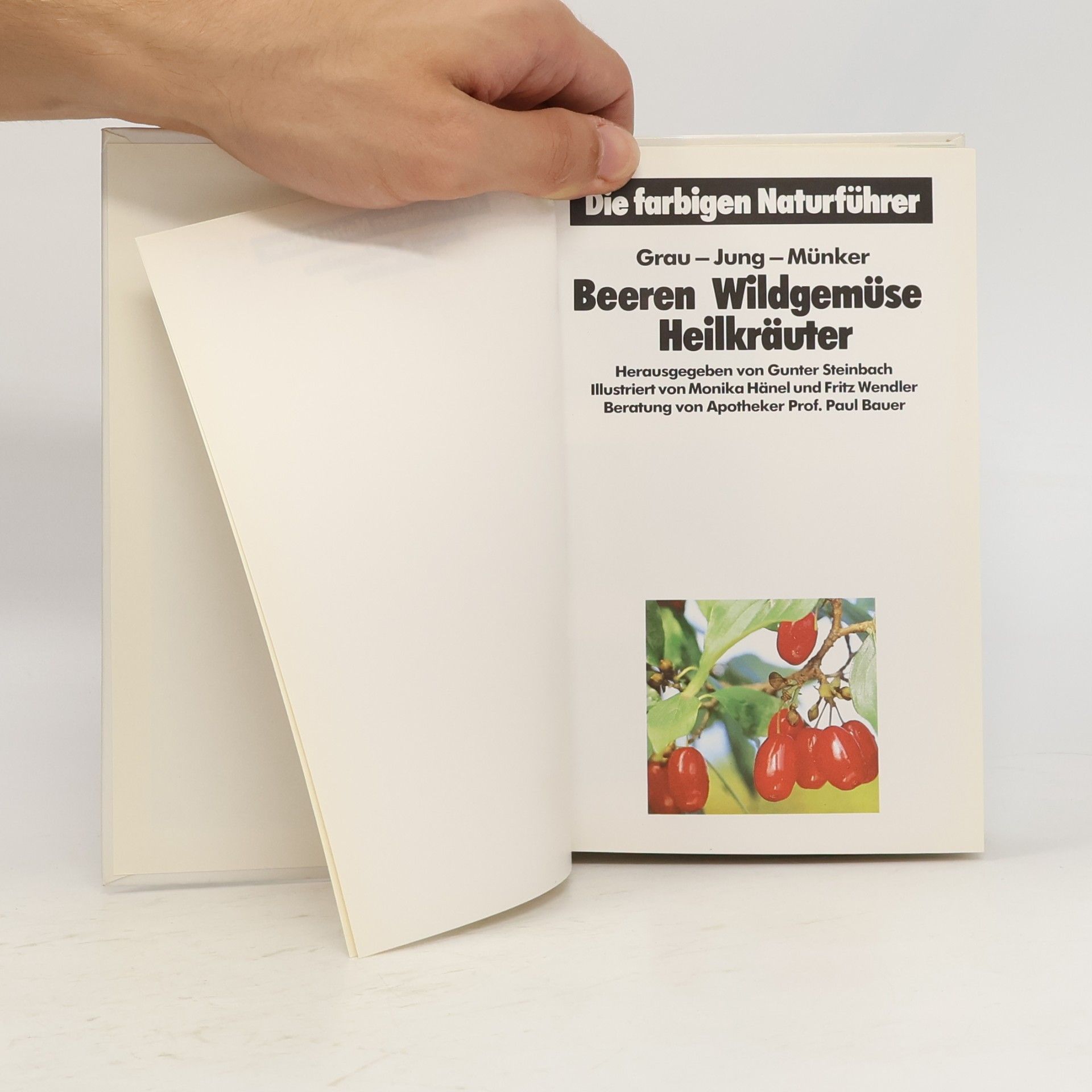 Collectif d'auteurs Beeren, Wildgemüse, Heilkräuter