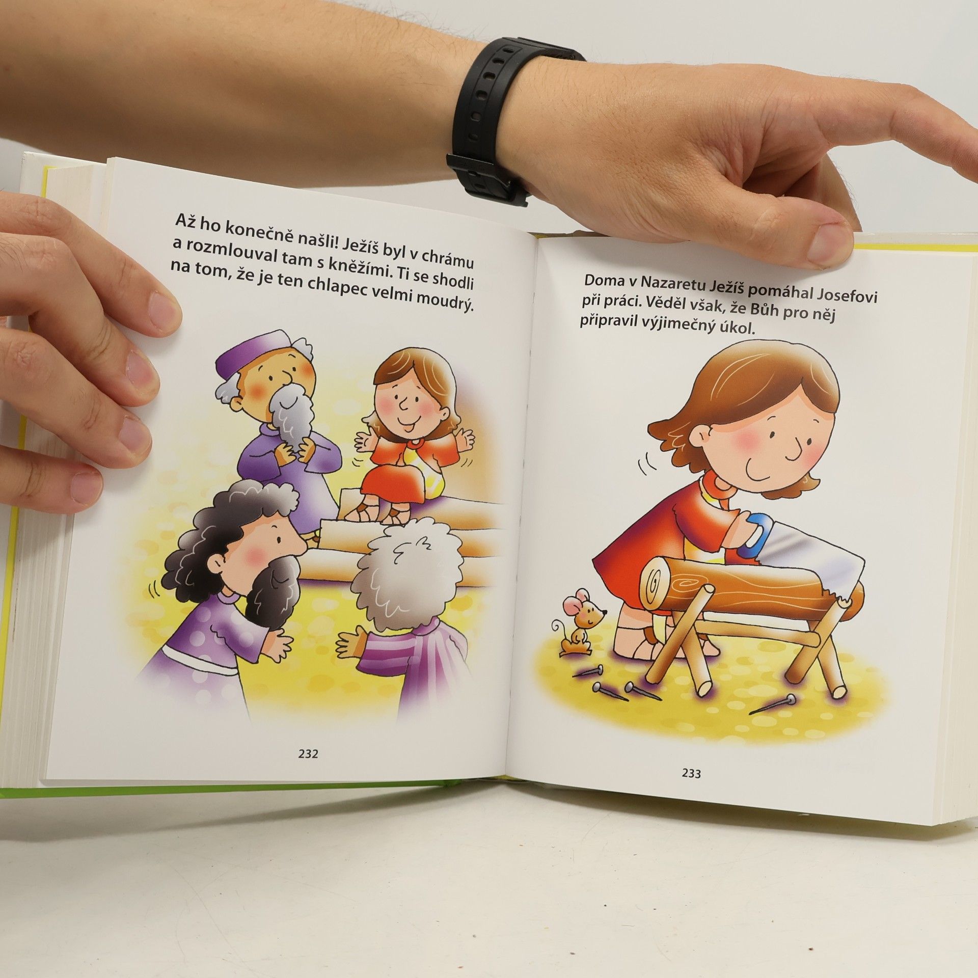 Juliet David Bible v obrázcích