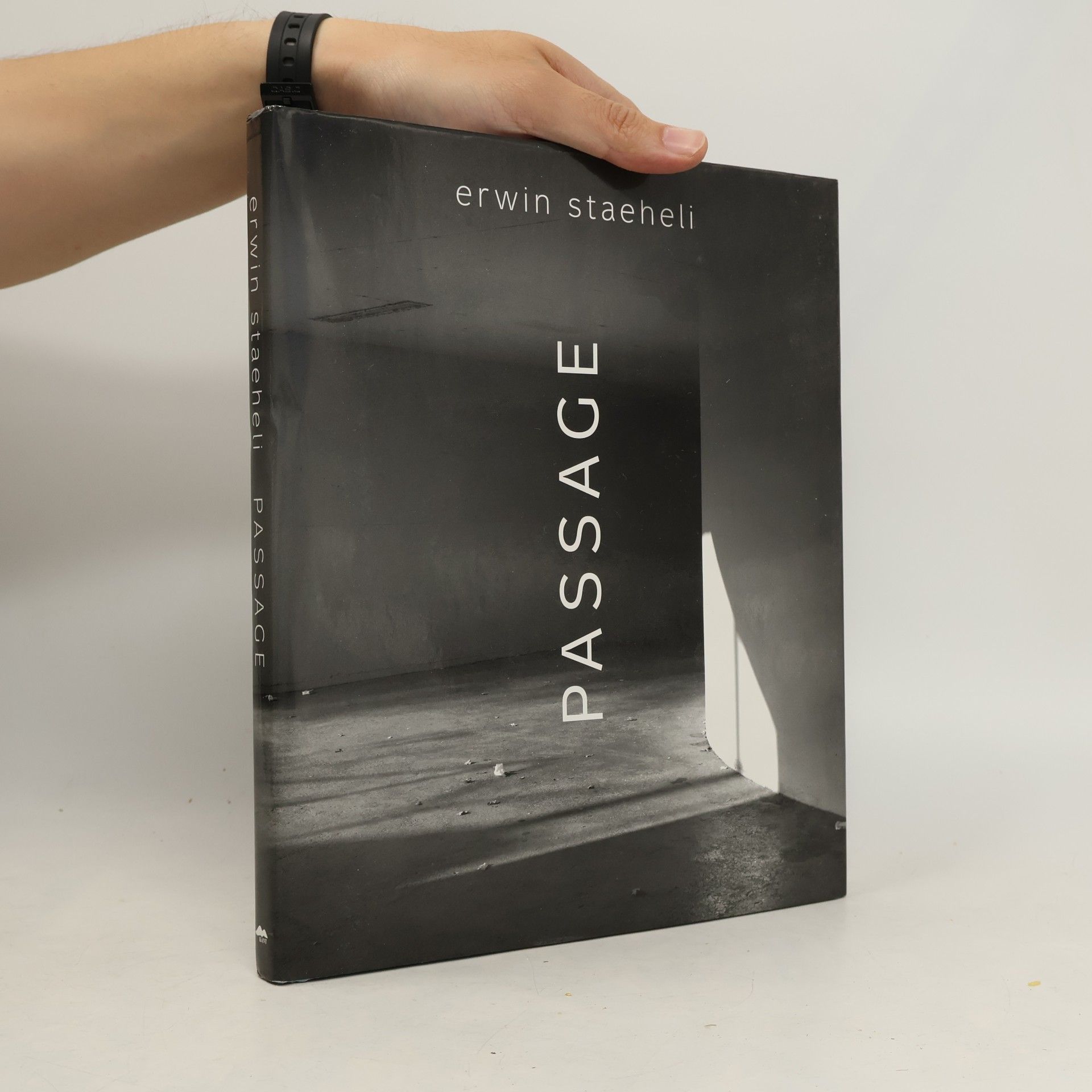 Erwin Staeheli Passage