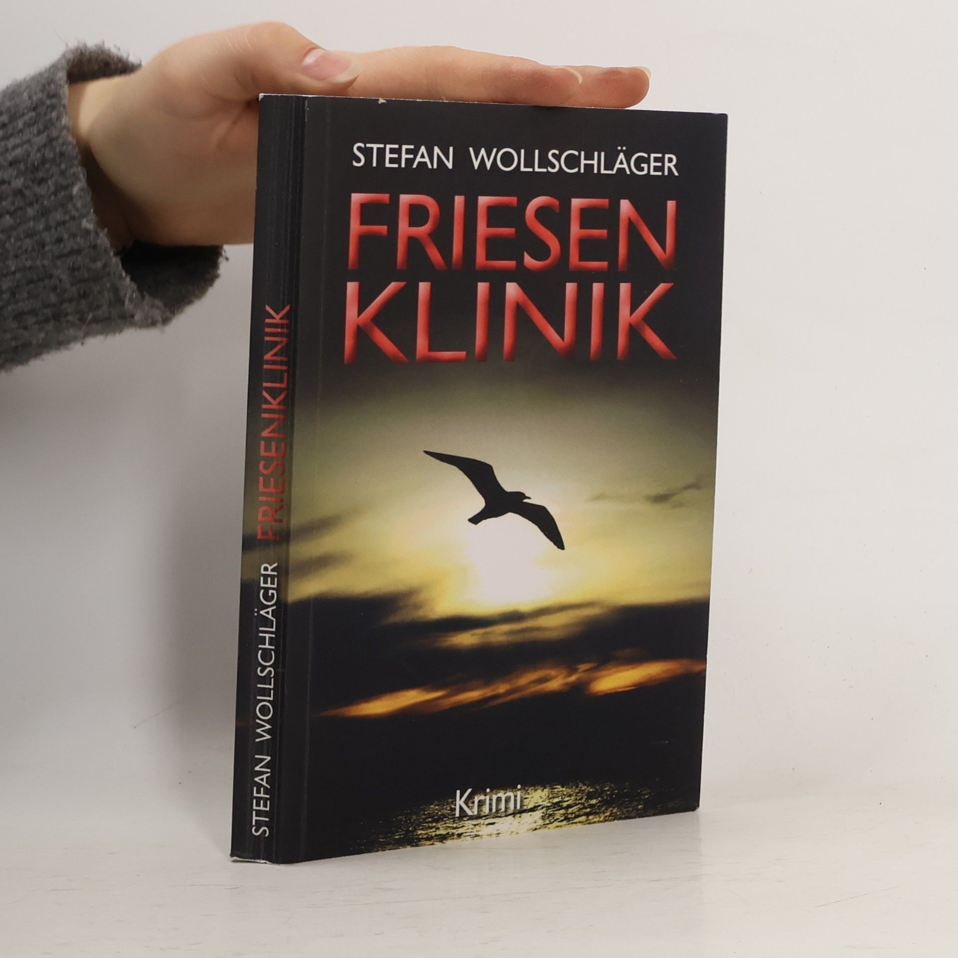 Diederike Dirks ermittelt: Friesenklinik