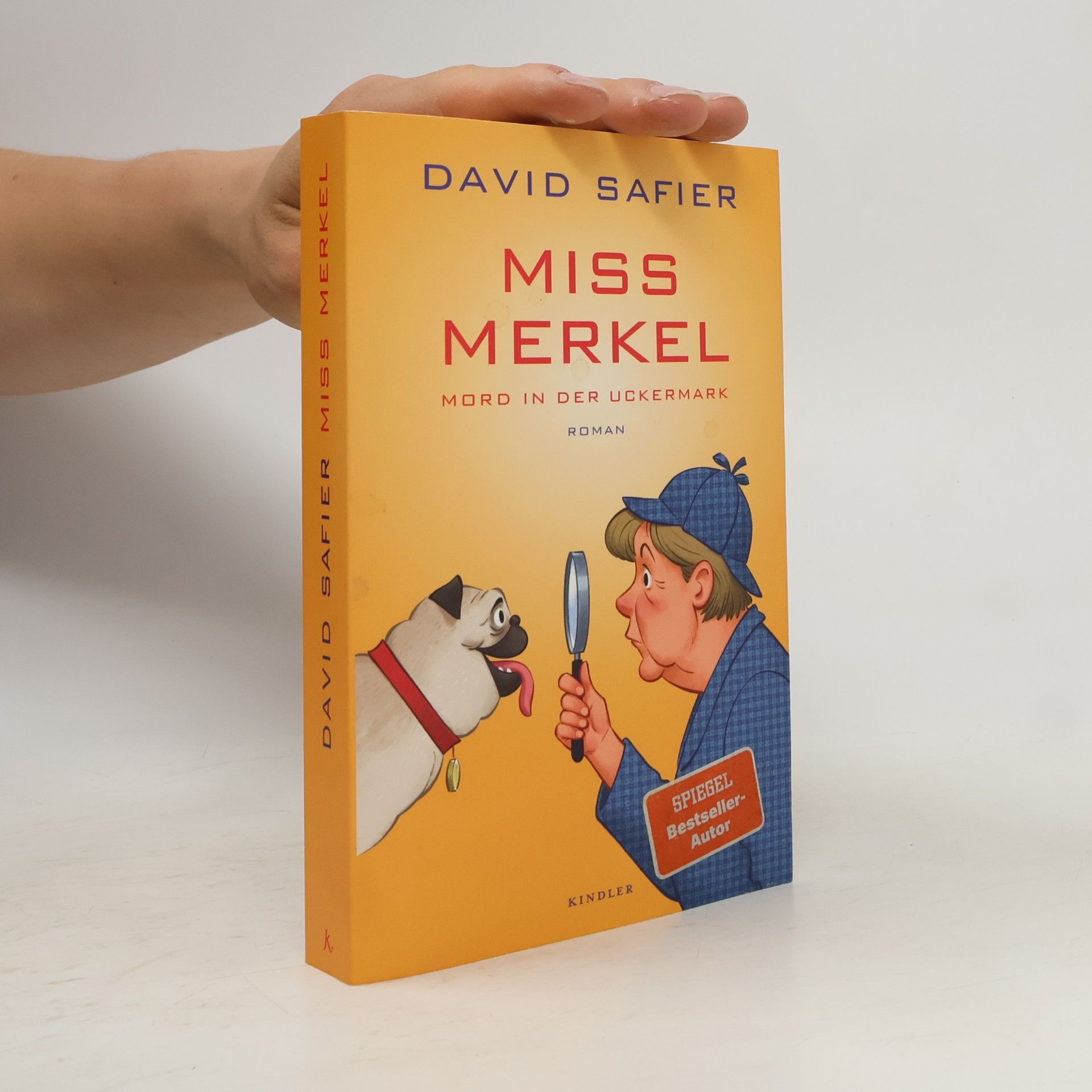 David Safier Miss Merkel