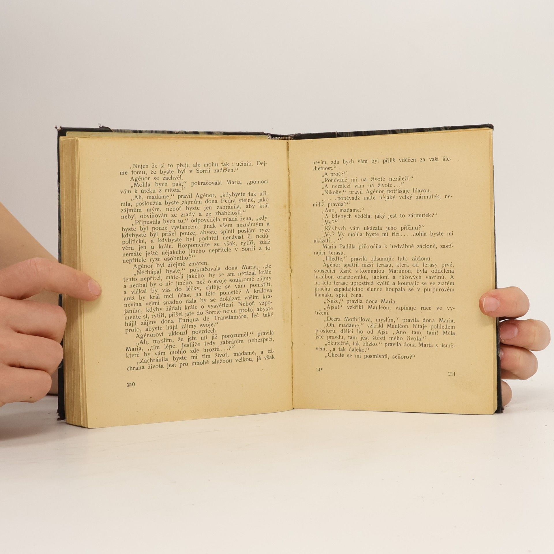 Alexandre Dumas der Ältere Rytíř se železnou pěstí II.