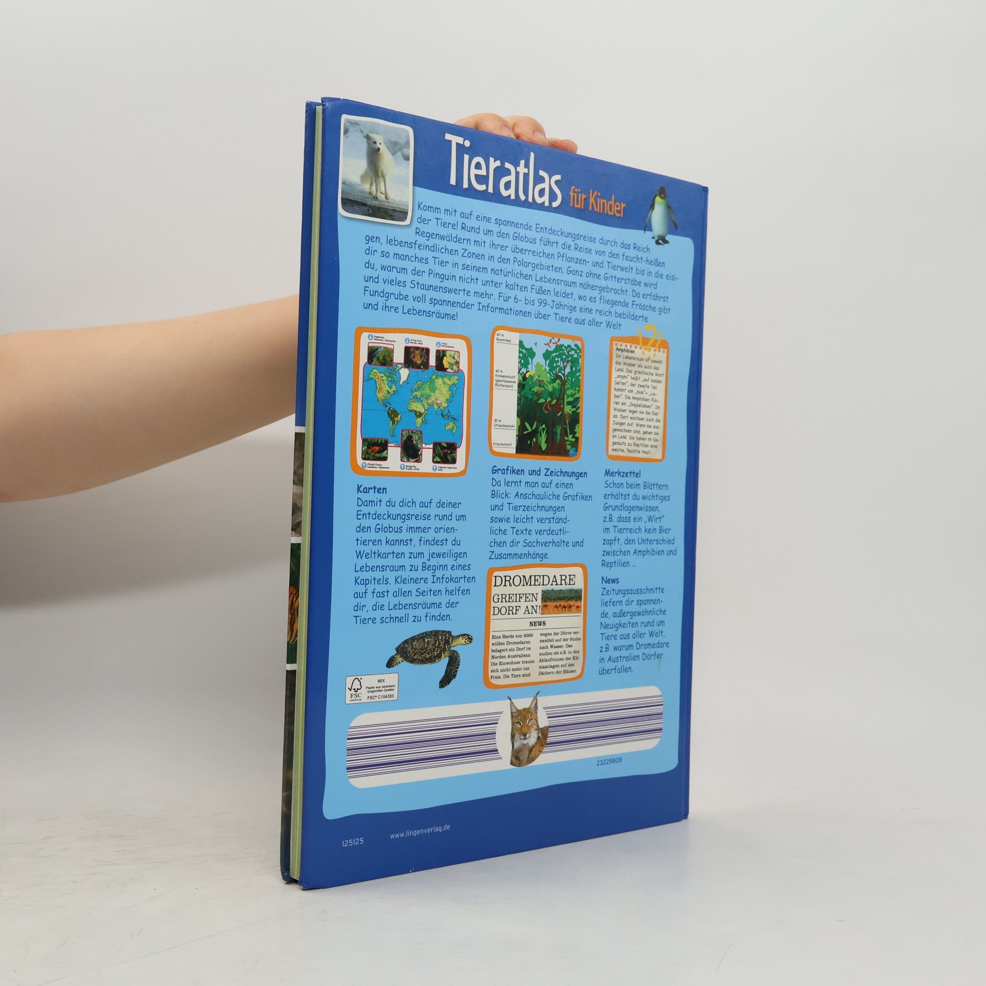 Autorenkollektiv Tieralas für Kinder