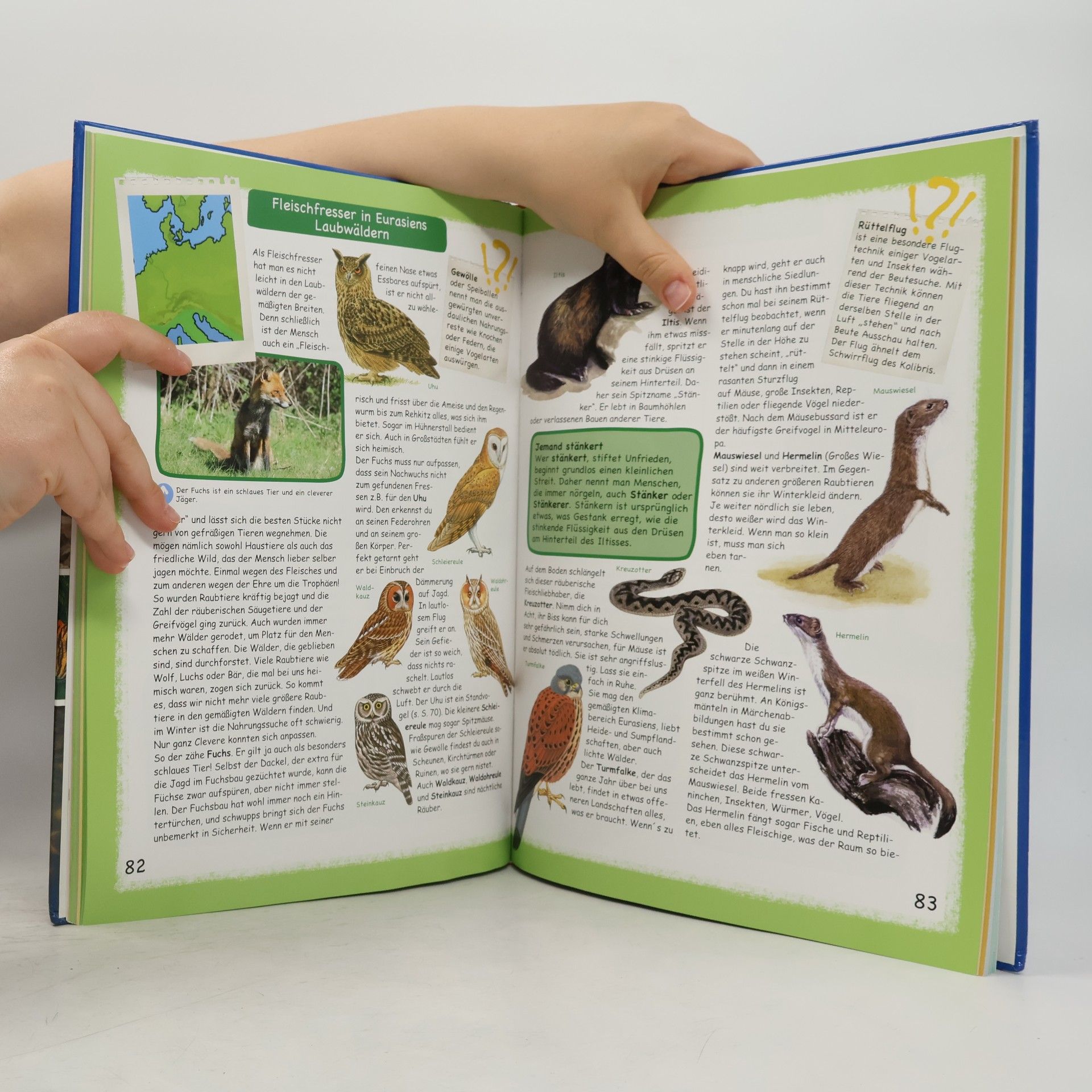Autorenkollektiv Tieralas für Kinder