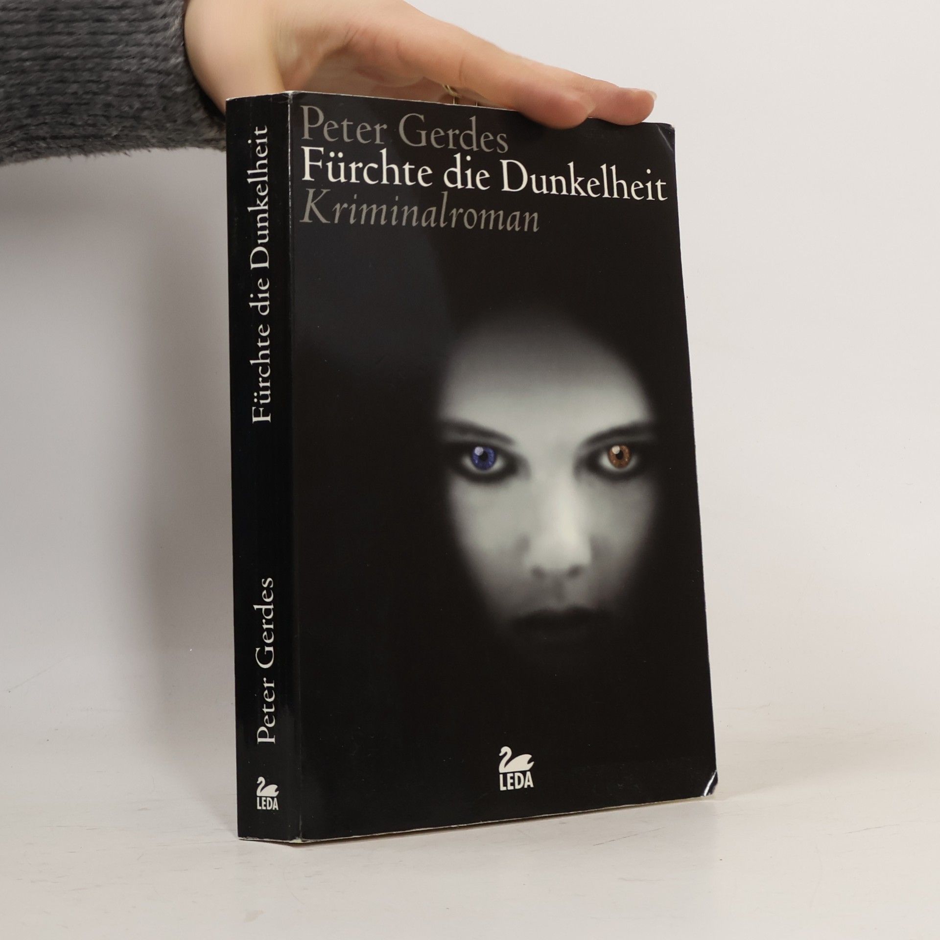 Peter Gerdes Hauptkommissar Stahnke: Fürchte die Dunkelheit