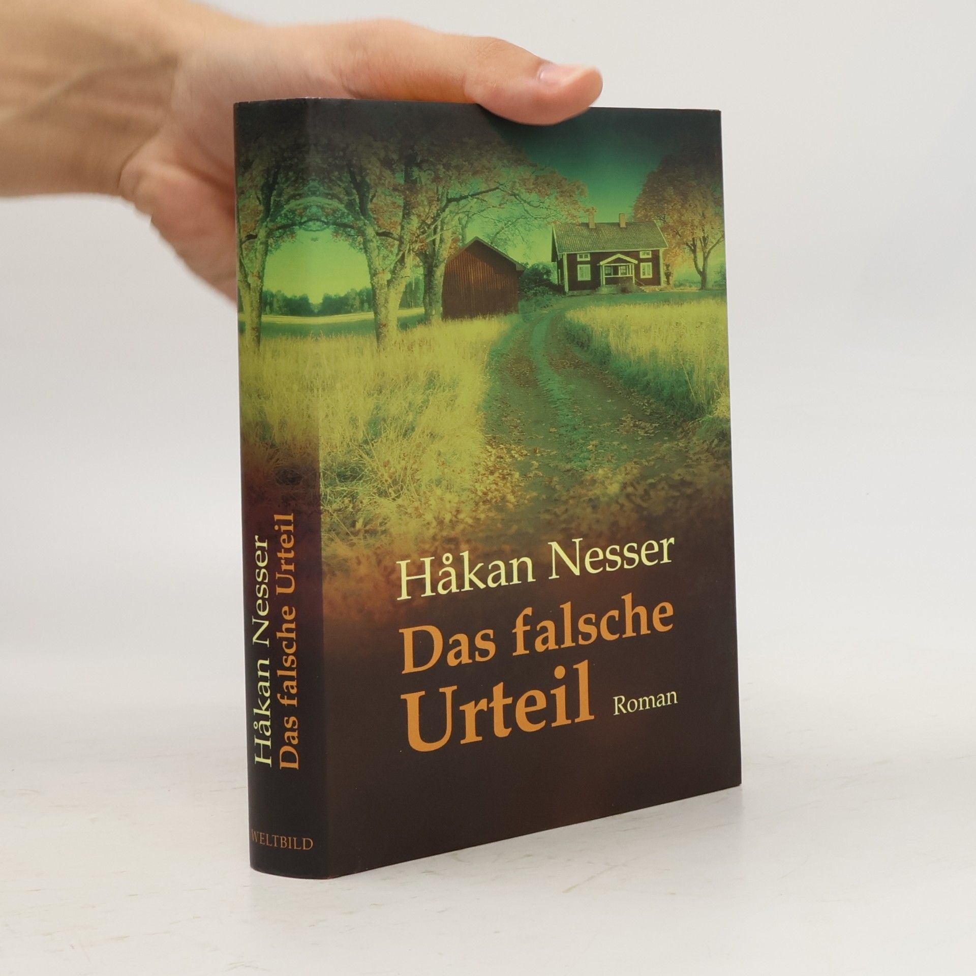 Håkan Nesser Das falsche Urteil