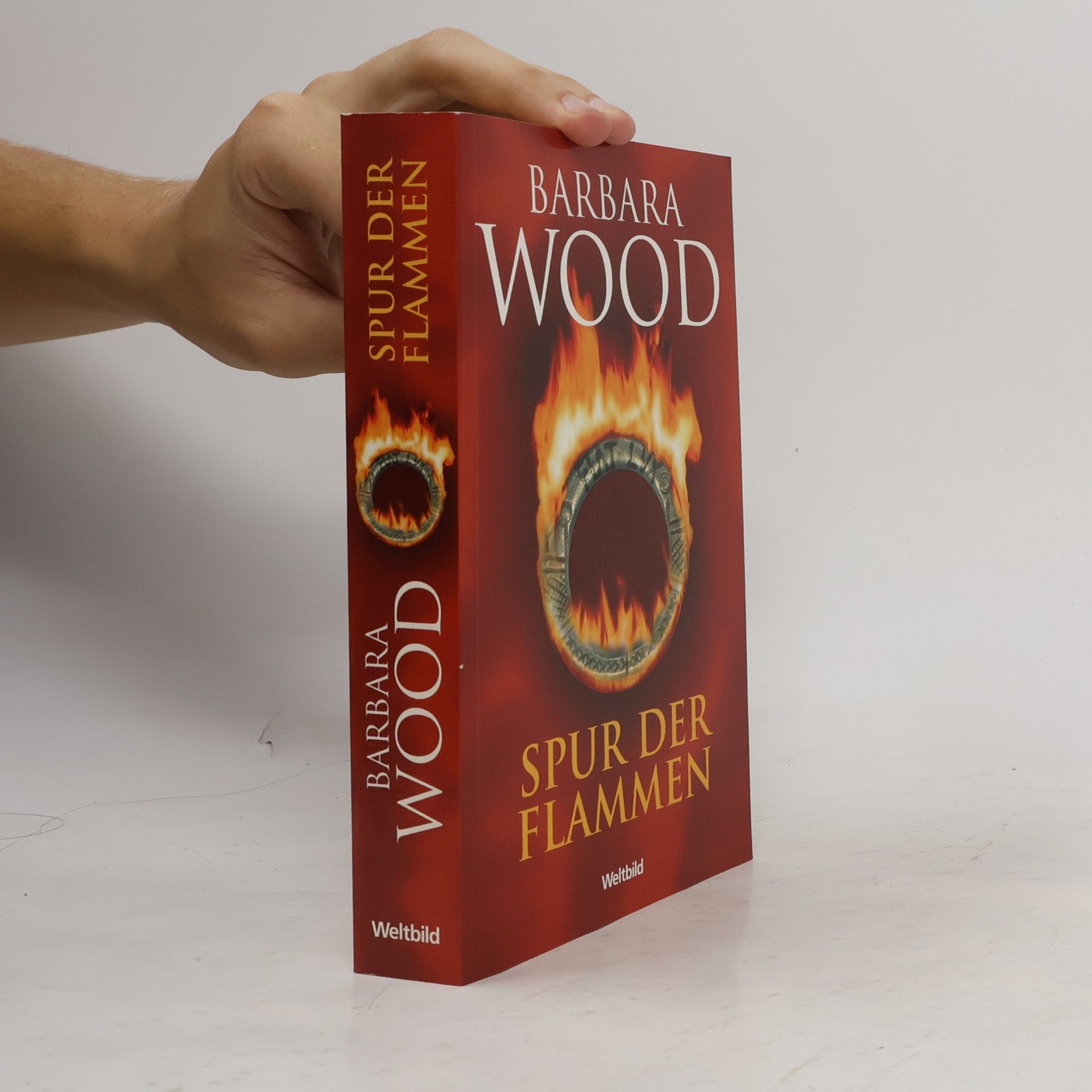 Barbara Wood Spur der Flammen