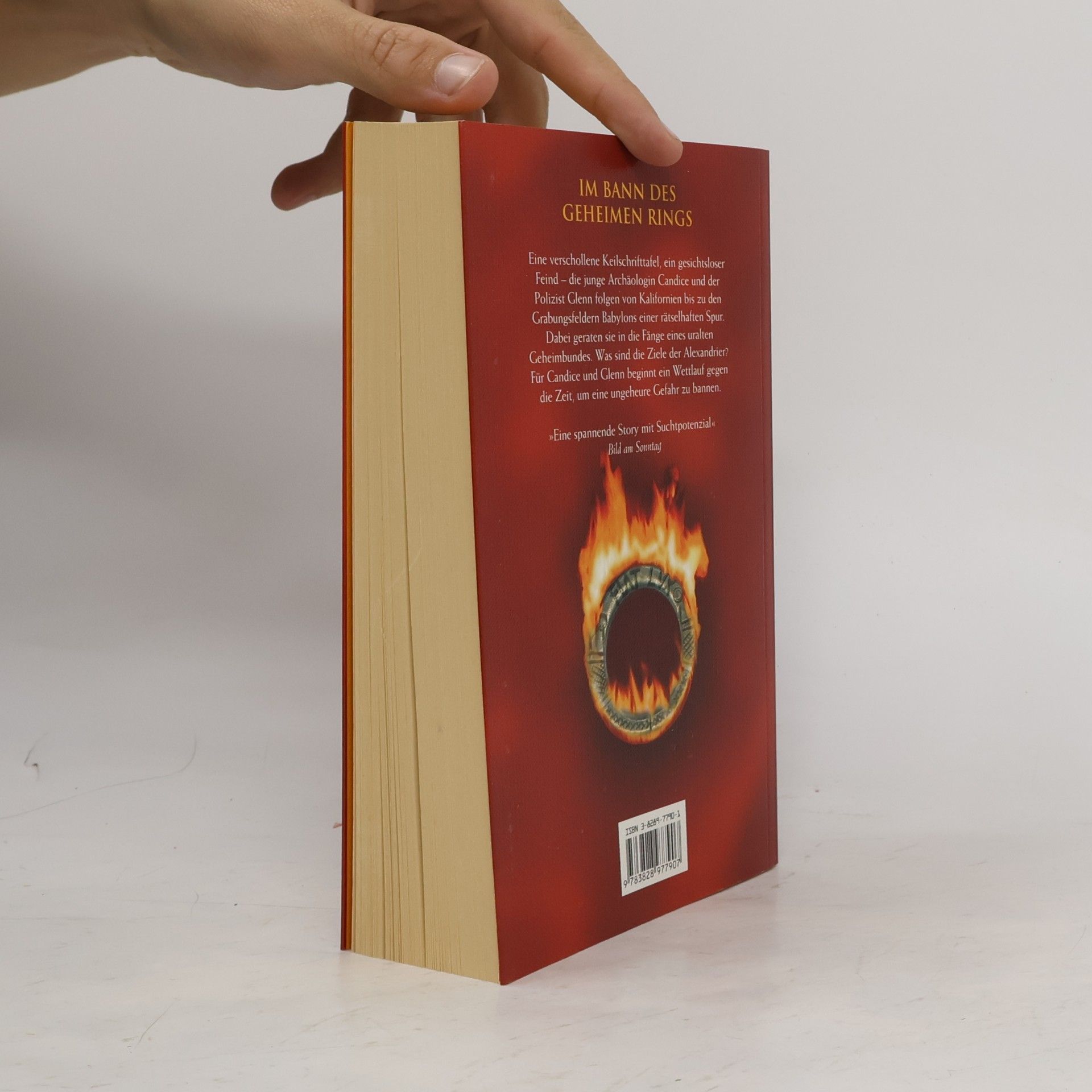 Barbara Wood Spur der Flammen