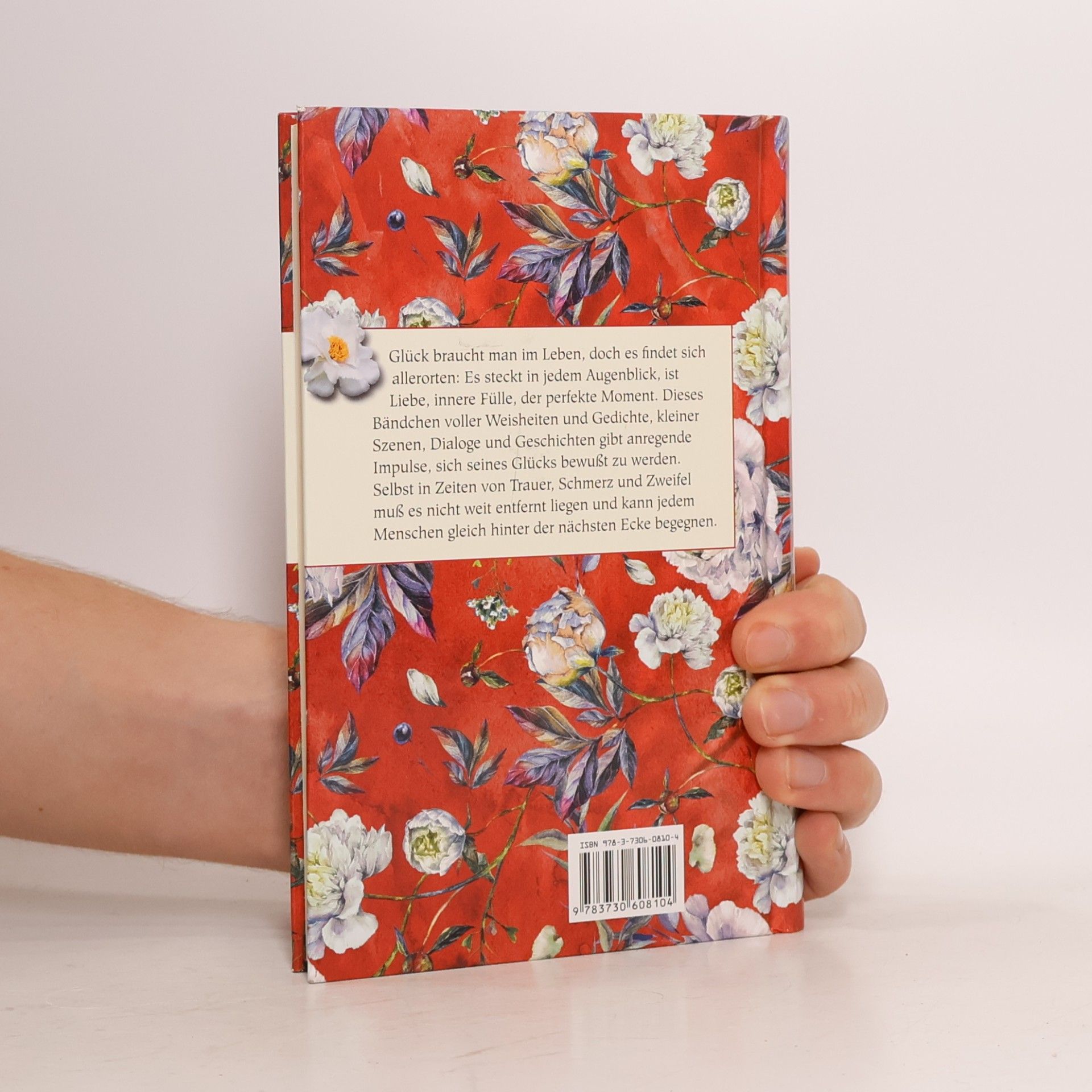 Hans Kruppa Das kleine Buch des großen Glücks