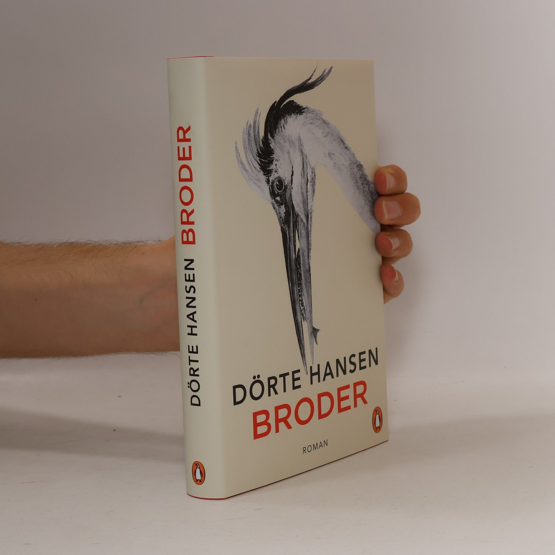 Dörte Hansen Broder