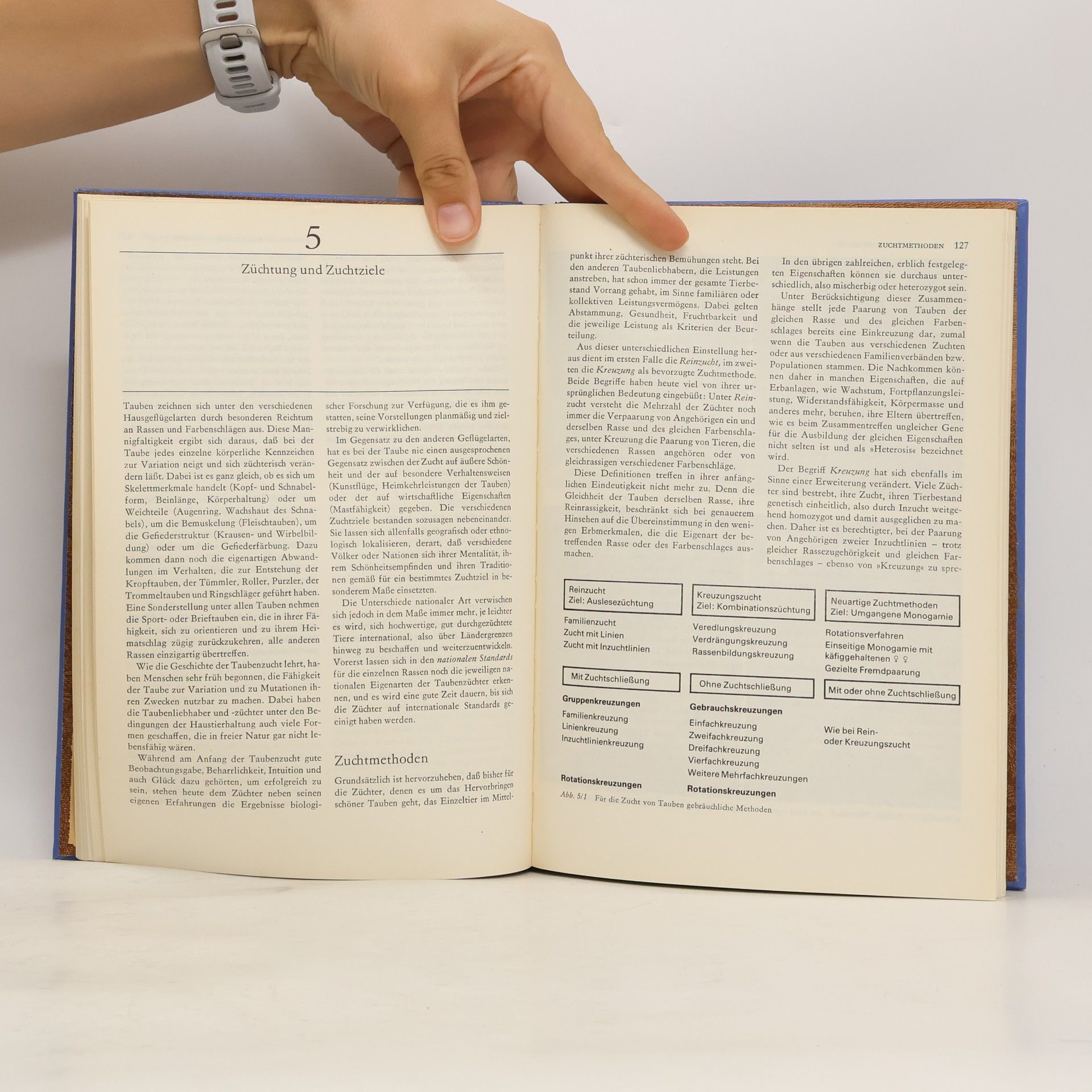 Manfred Hartmann Das Taubenbuch