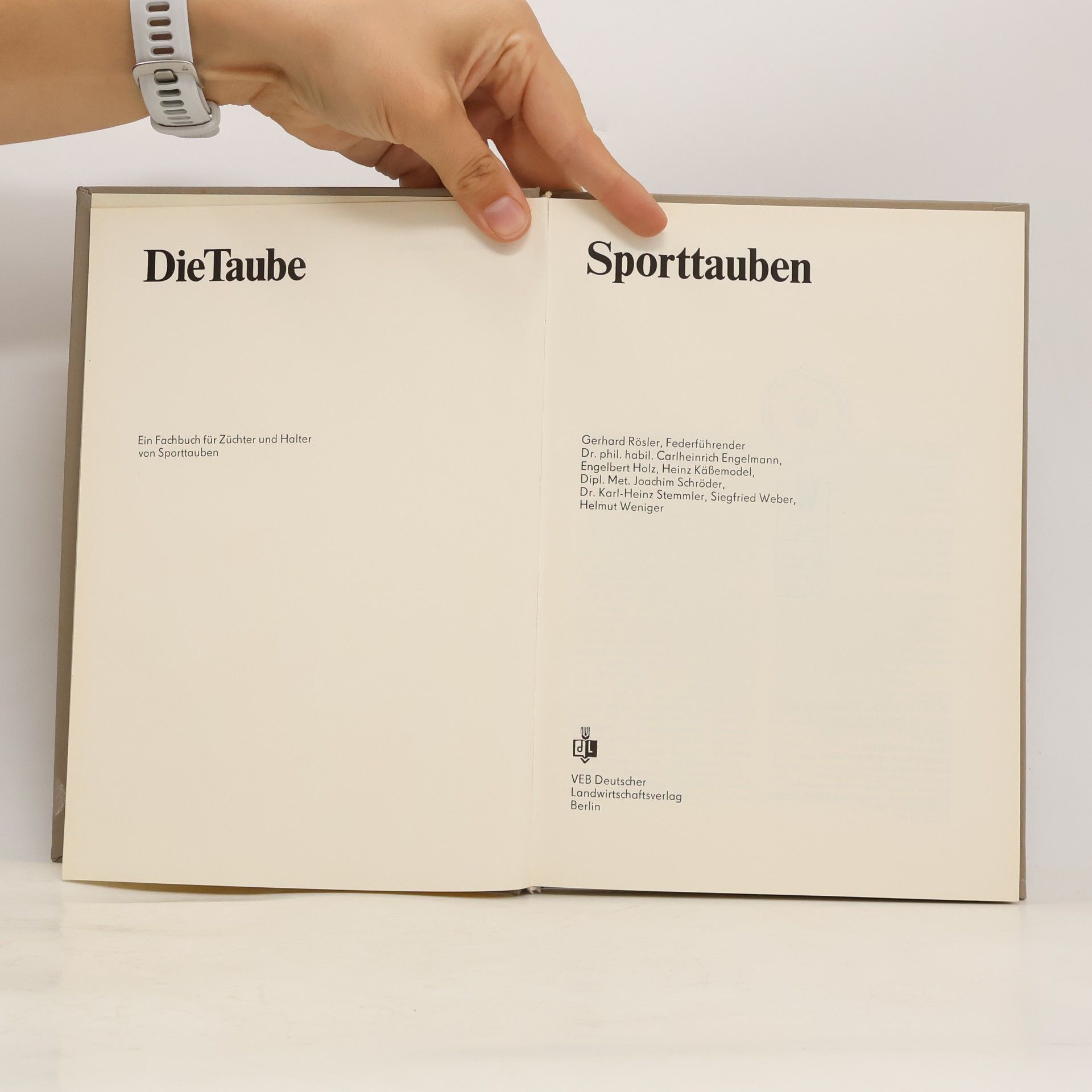 Gerhard Rösler Die Taube - Sporttauben