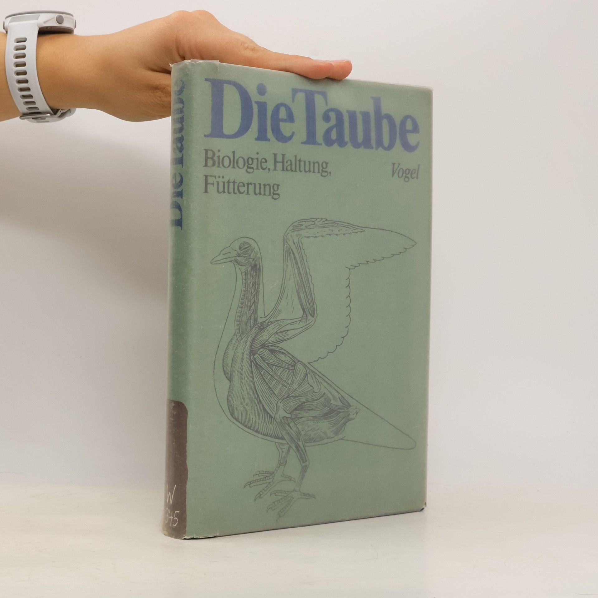 Die Taube. Biologie, Haltung, Fütterung