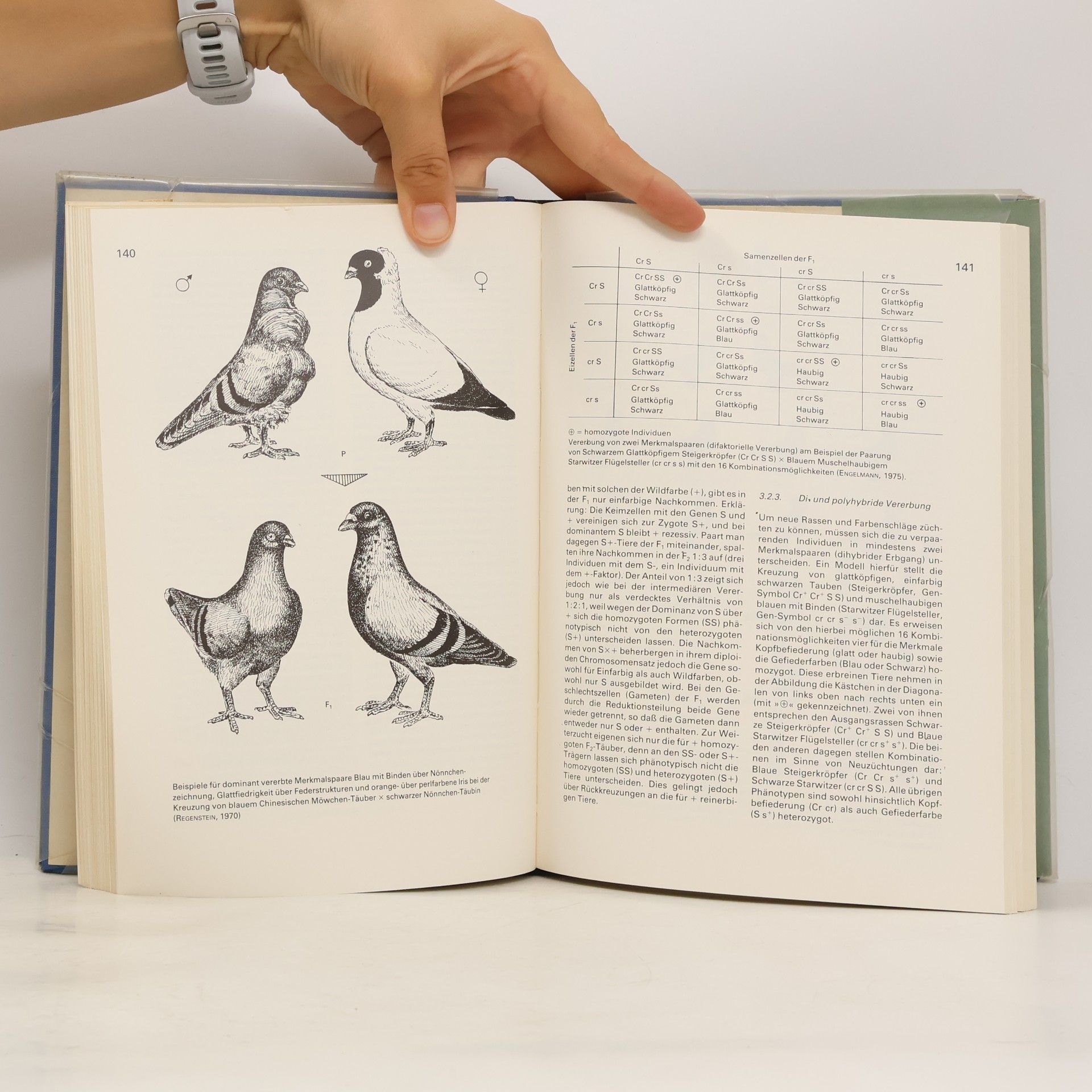 Kurt Vogel Die Taube. Biologie, Haltung, Fütterung