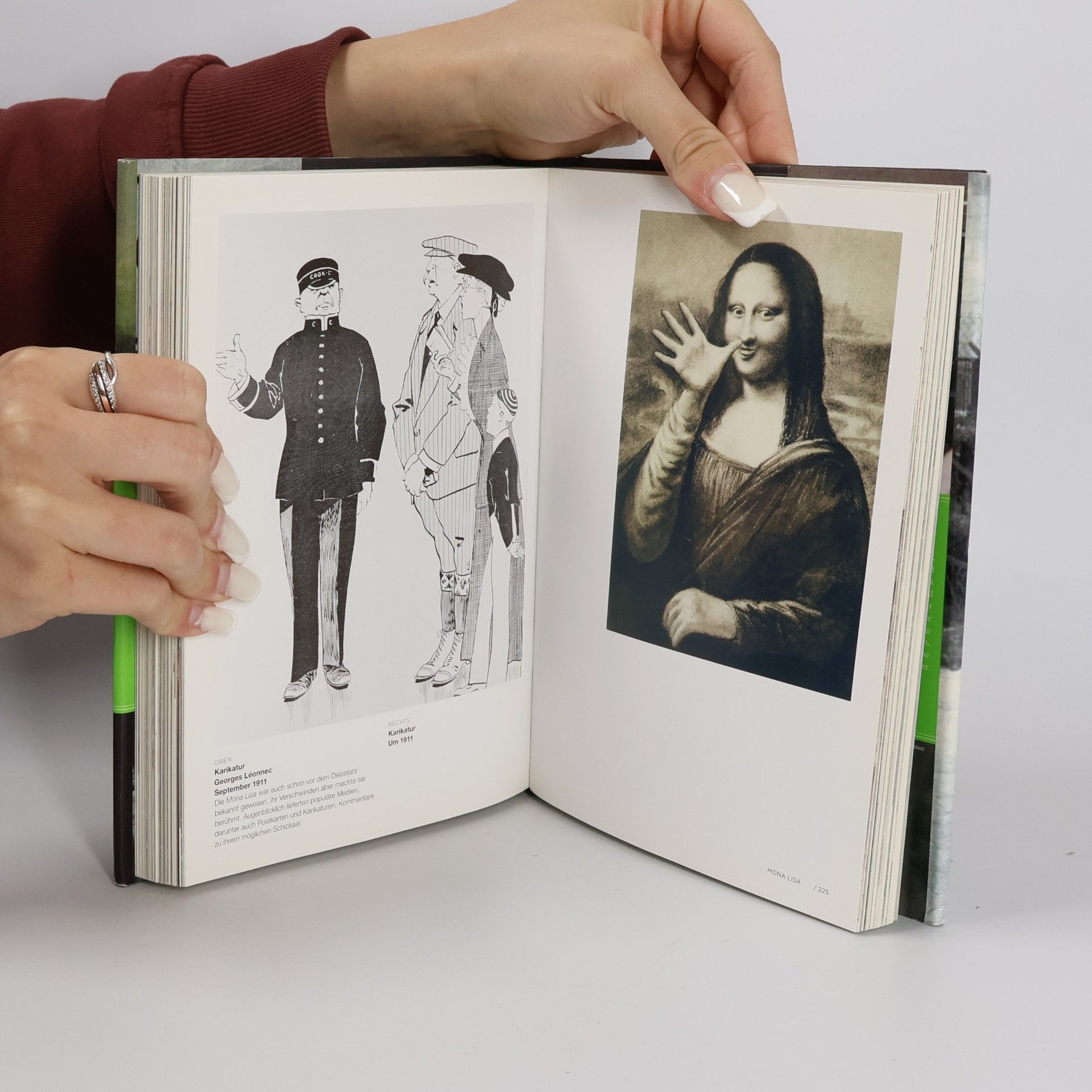 Donald Sassoon Da Vinci und das Geheimnis der Mona Lisa