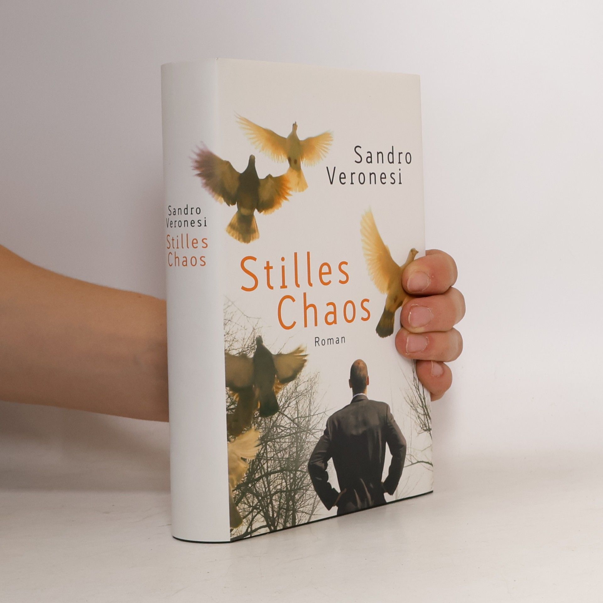 Sandro Veronesi Stilles Chaos