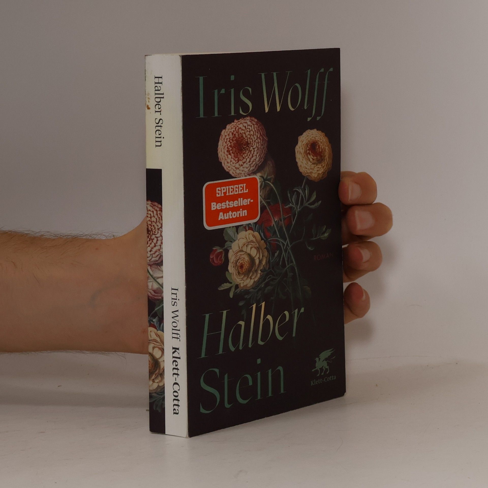 Iris Wolff Halber Stein: Roman