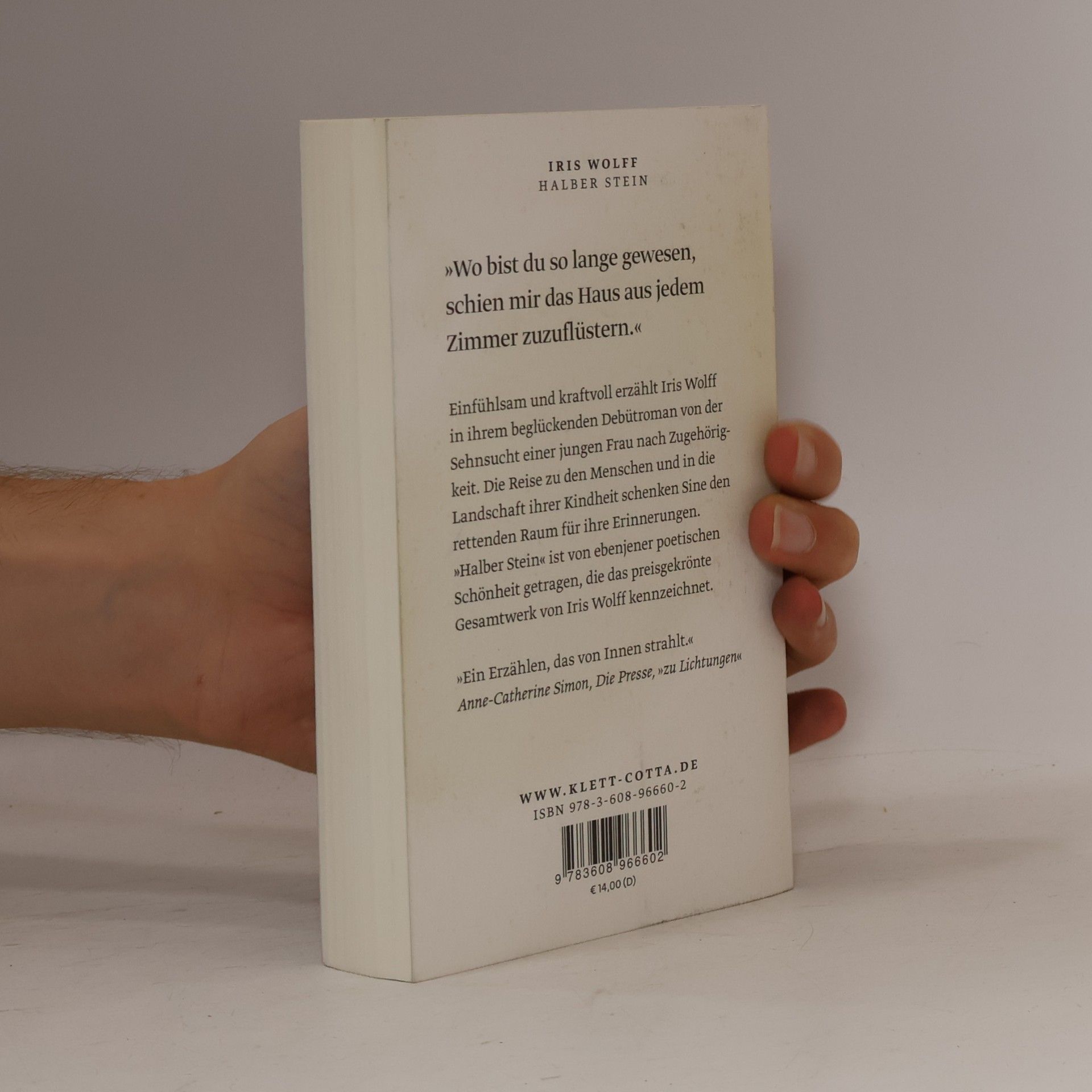 Iris Wolff Halber Stein: Roman
