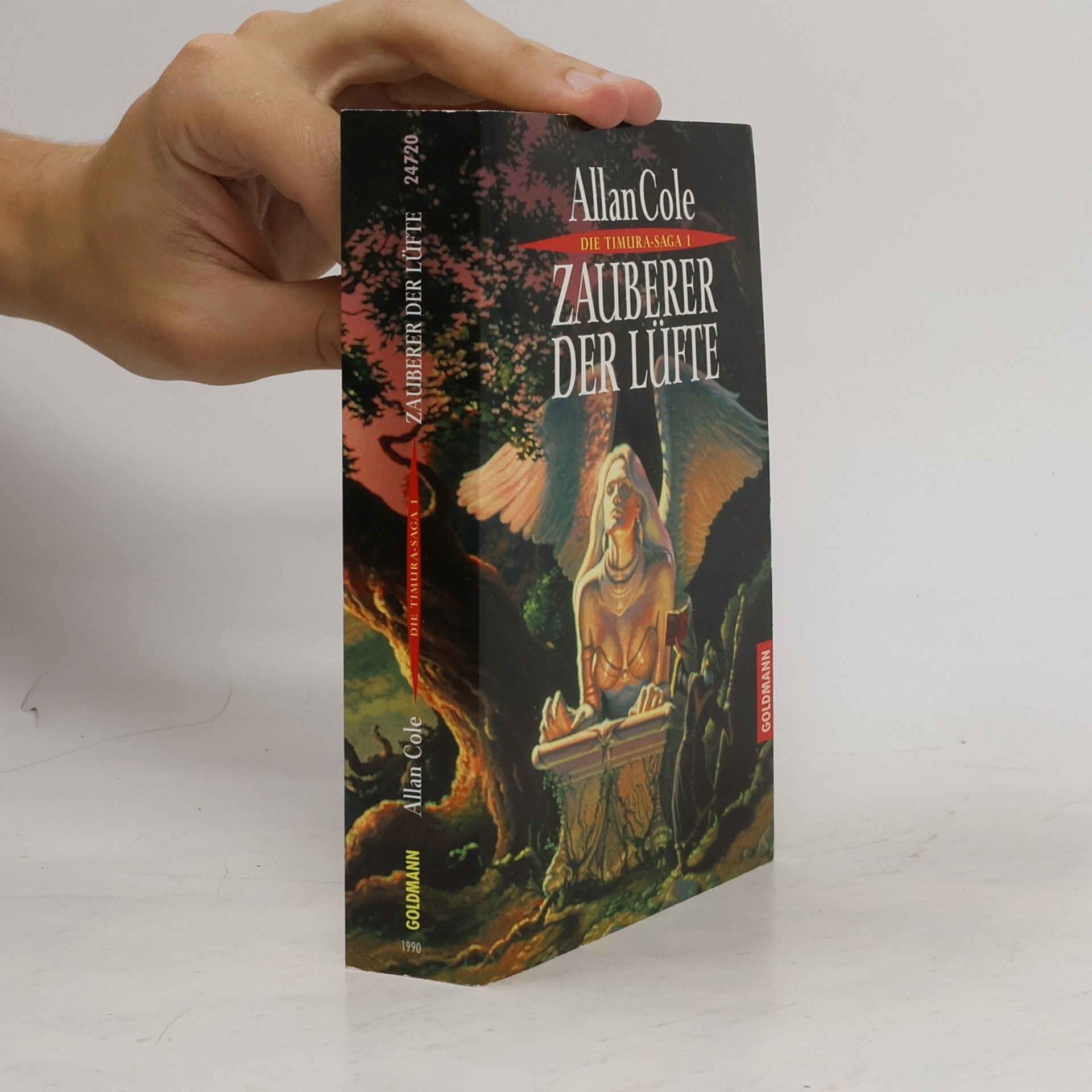Allan Cole Zauberer der Lüfte. Roman