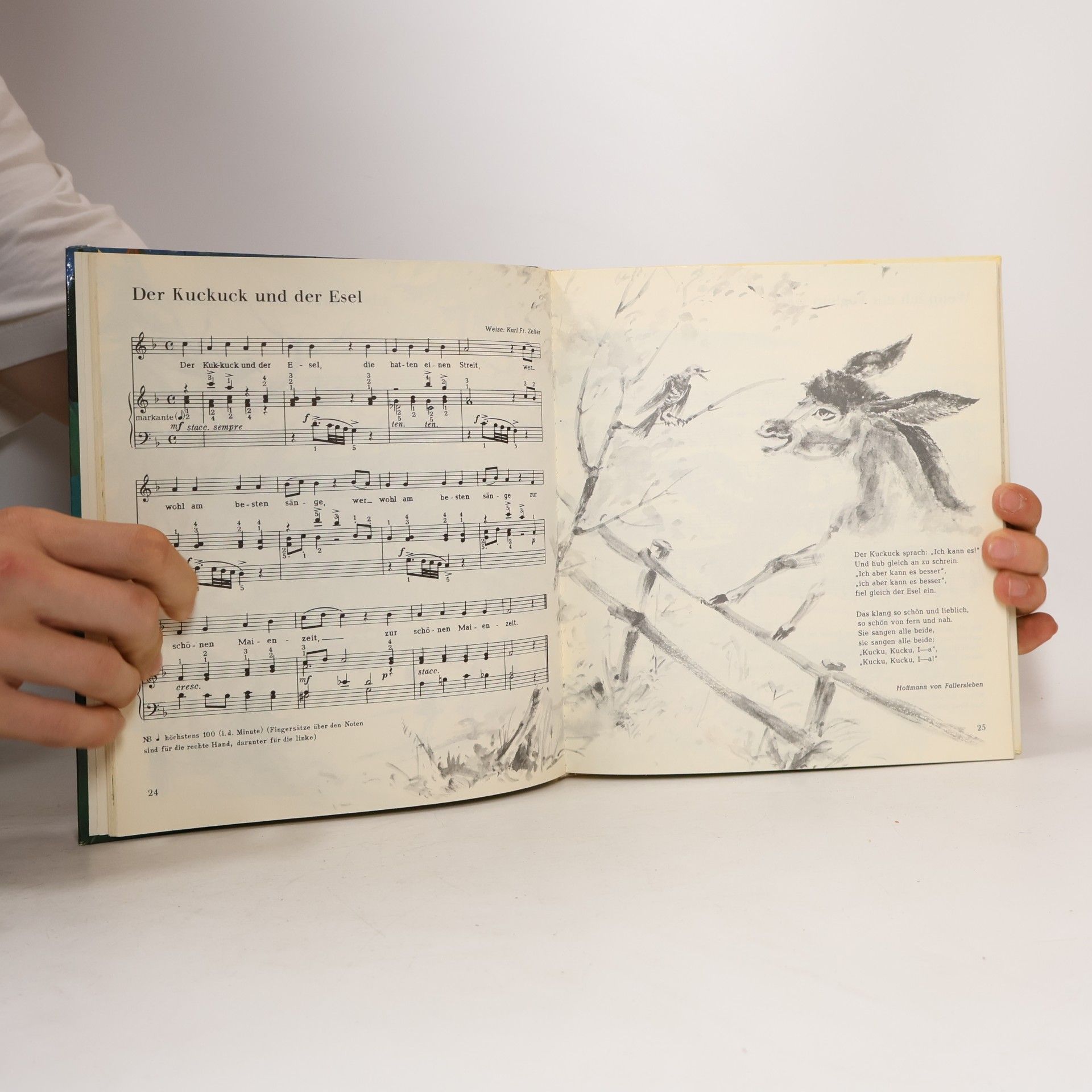 Various authors Was Kinder gerne singen